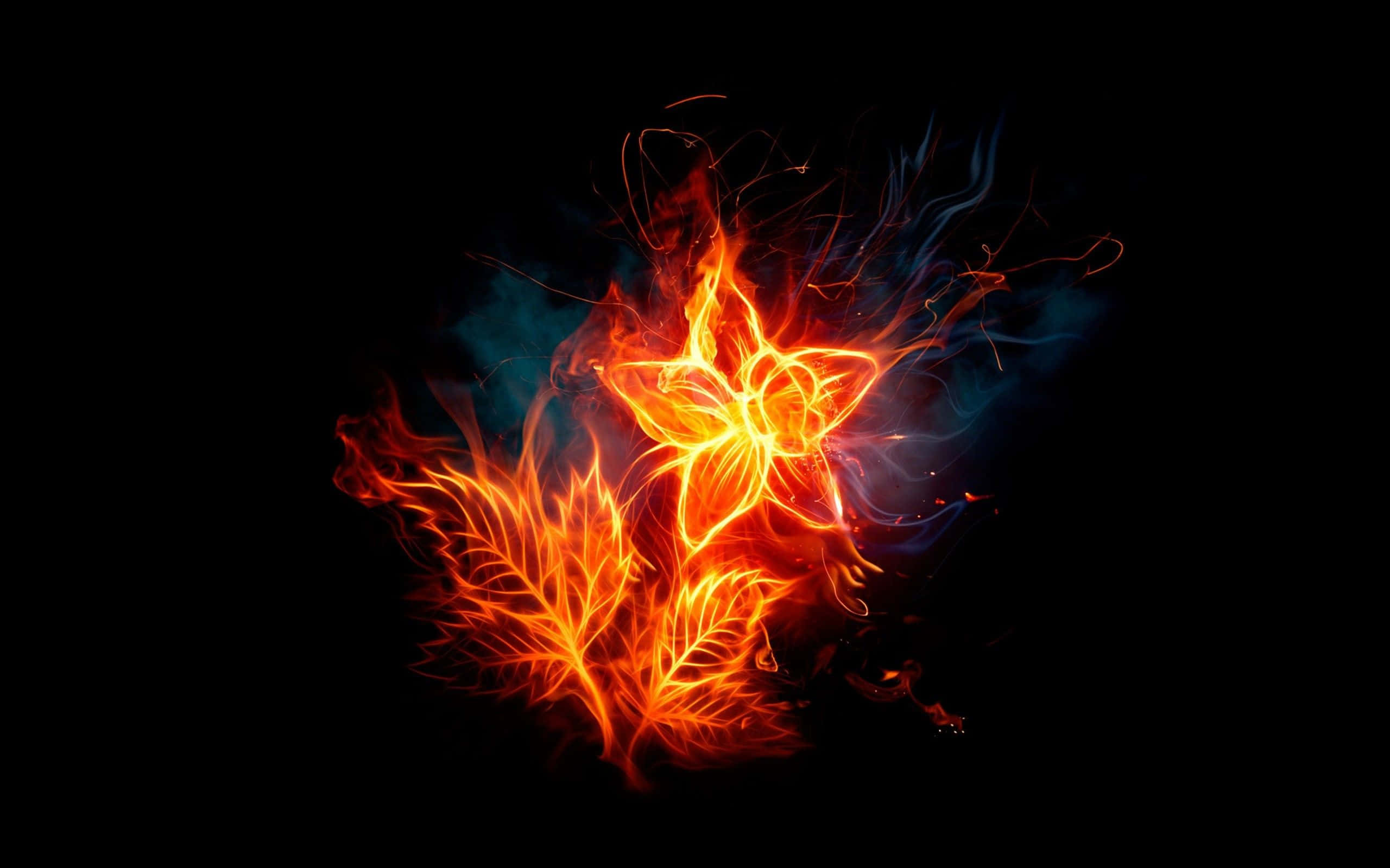 abstract flaming leaf design, fiery orange and blue, glowing leaves, 2K Desktop Wallpaper