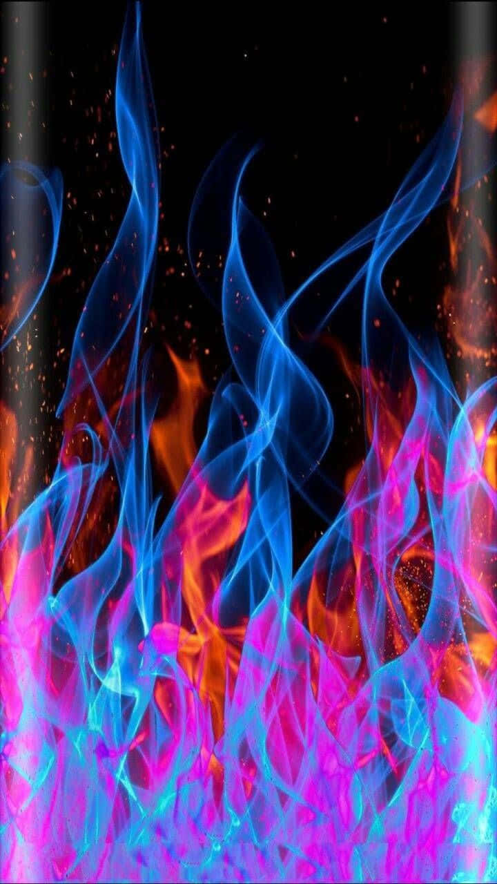 vibrant blue flames, pink flames, black background, HD Phone Wallpaper