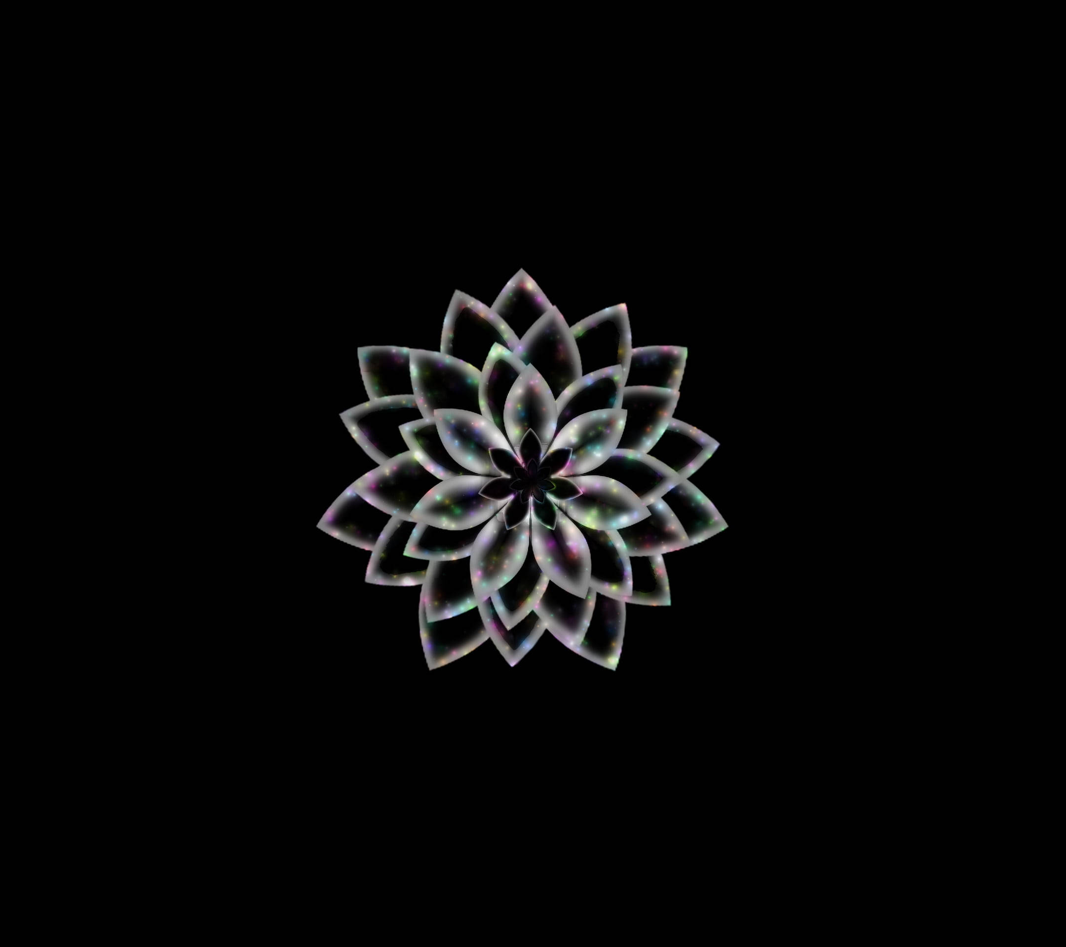 black and white flower abstract, iridescent flower-like fractal, pure black background, Full HD Desktop Wallpaper