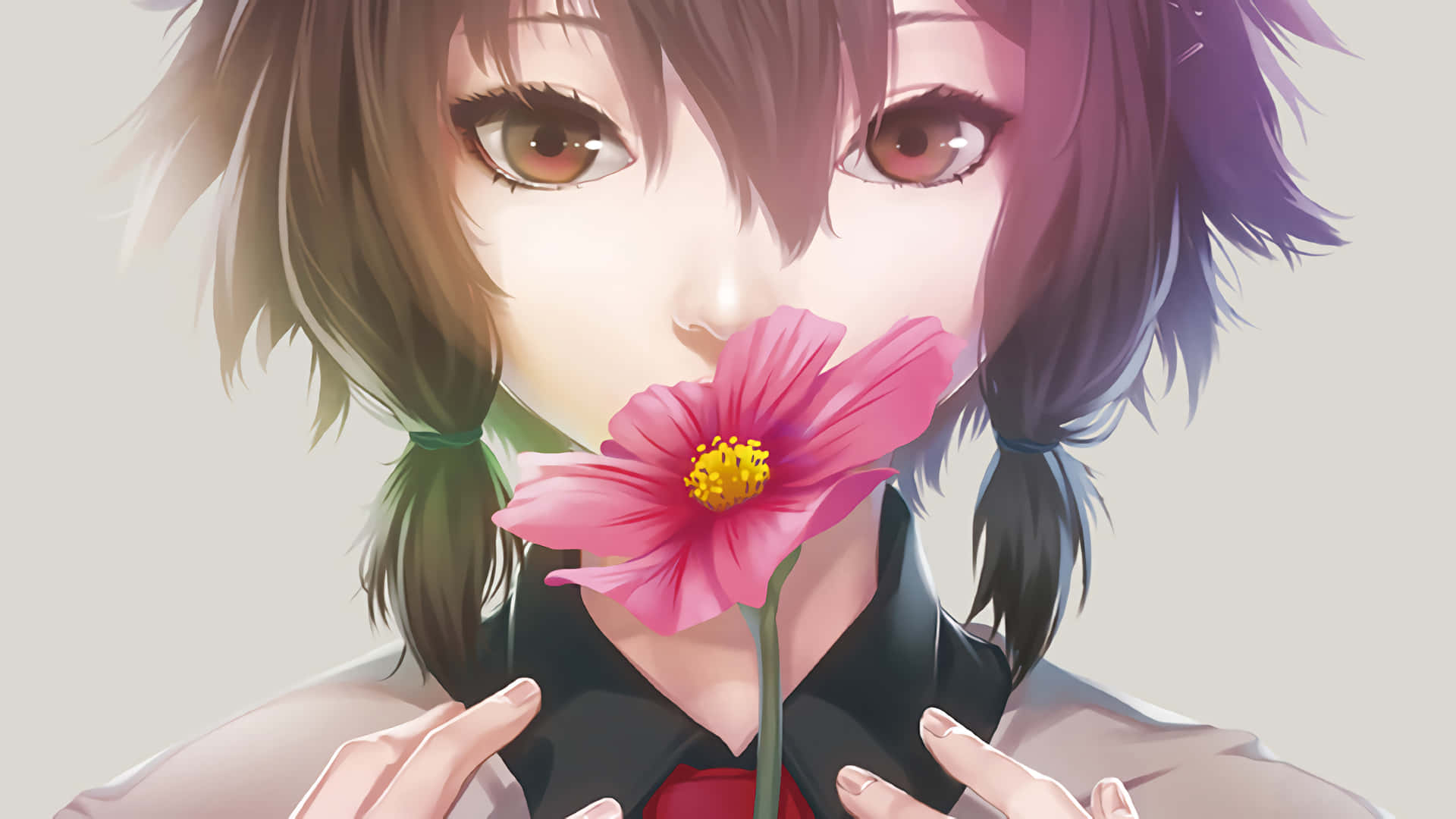 anime flower, pink cosmos flower, brown eyes, Full HD Desktop Wallpaper
