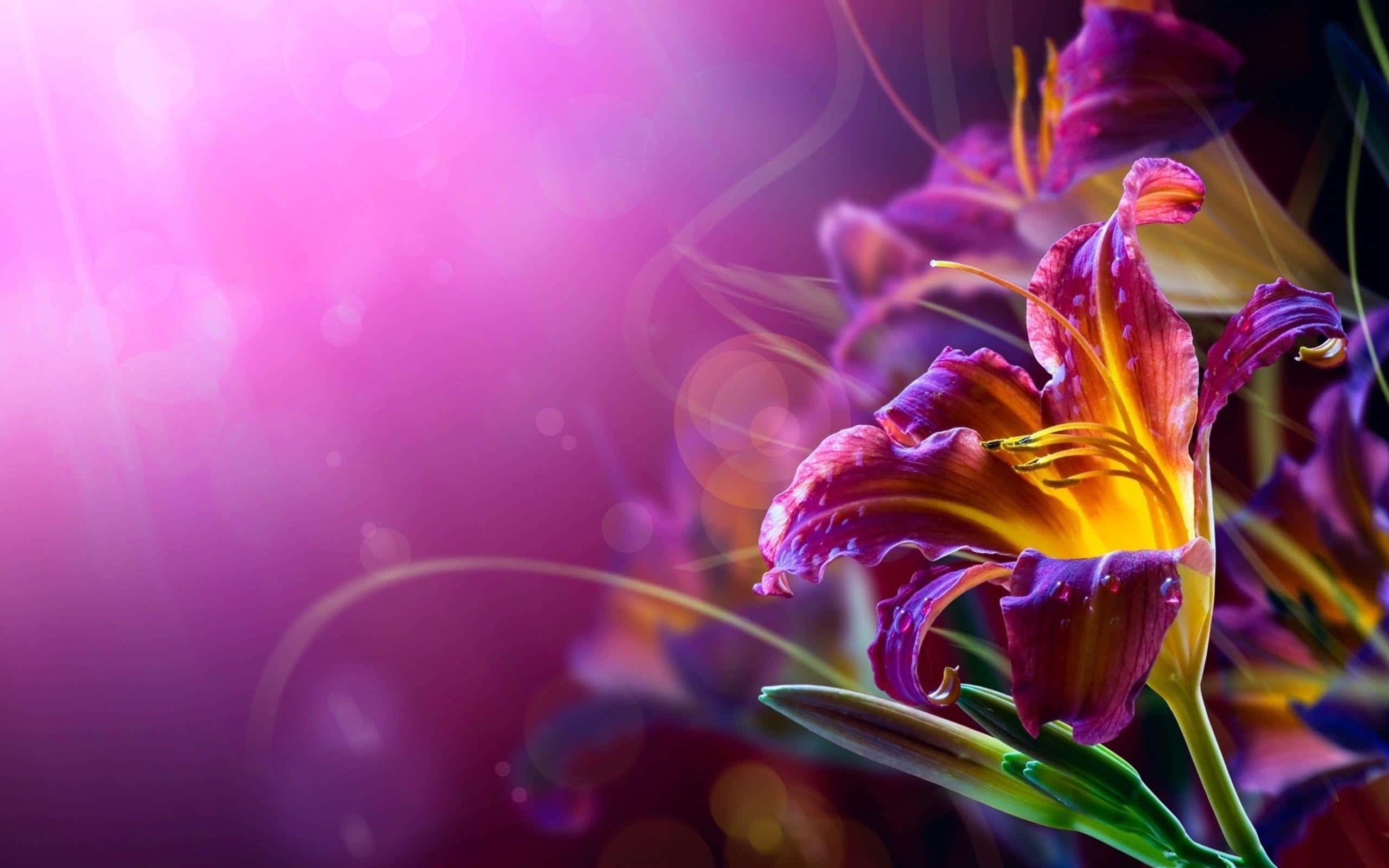 vibrant purple lily, yellow center, glowing pink bokeh background, 2K Desktop Wallpaper