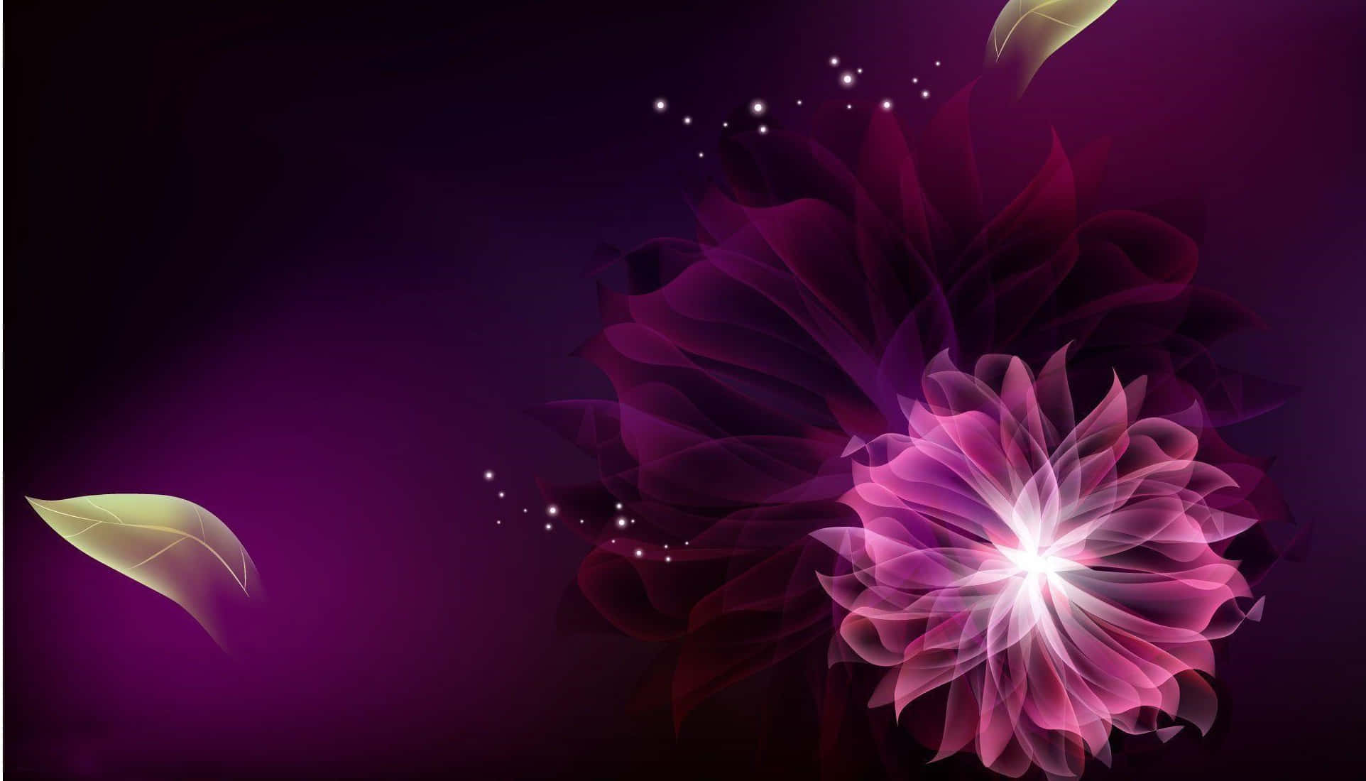 abstract purple flower, pink and purple fractal flower, deep purple gradient, Full HD Desktop Wallpaper