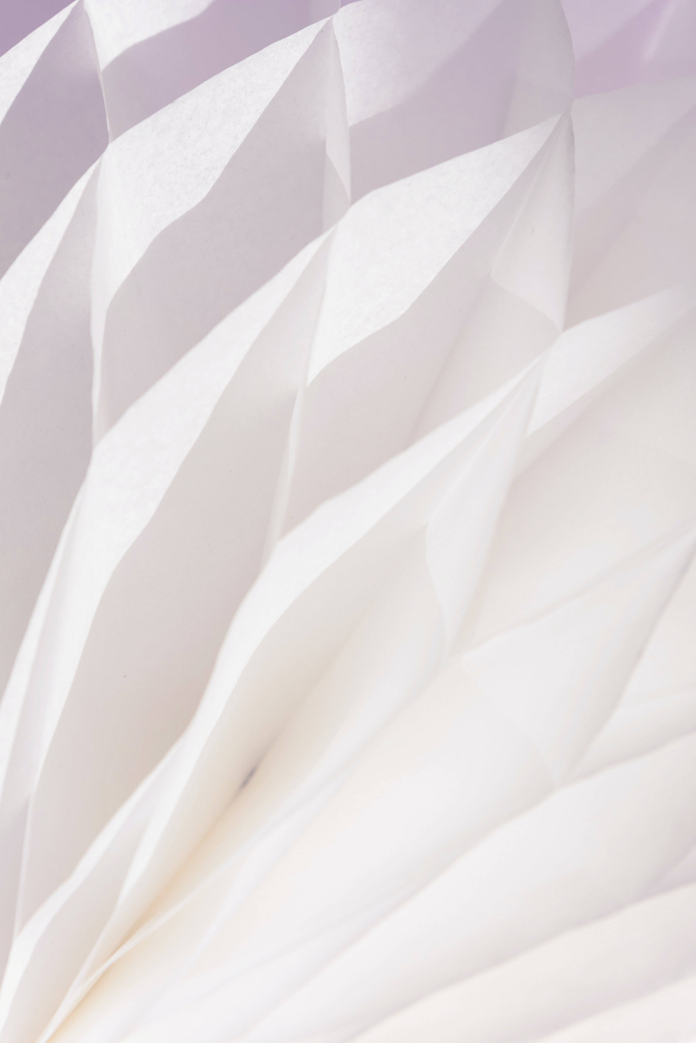 pure white abstract flower, soft white paper, delicate geometric folds, 4K Phone Wallpaper
