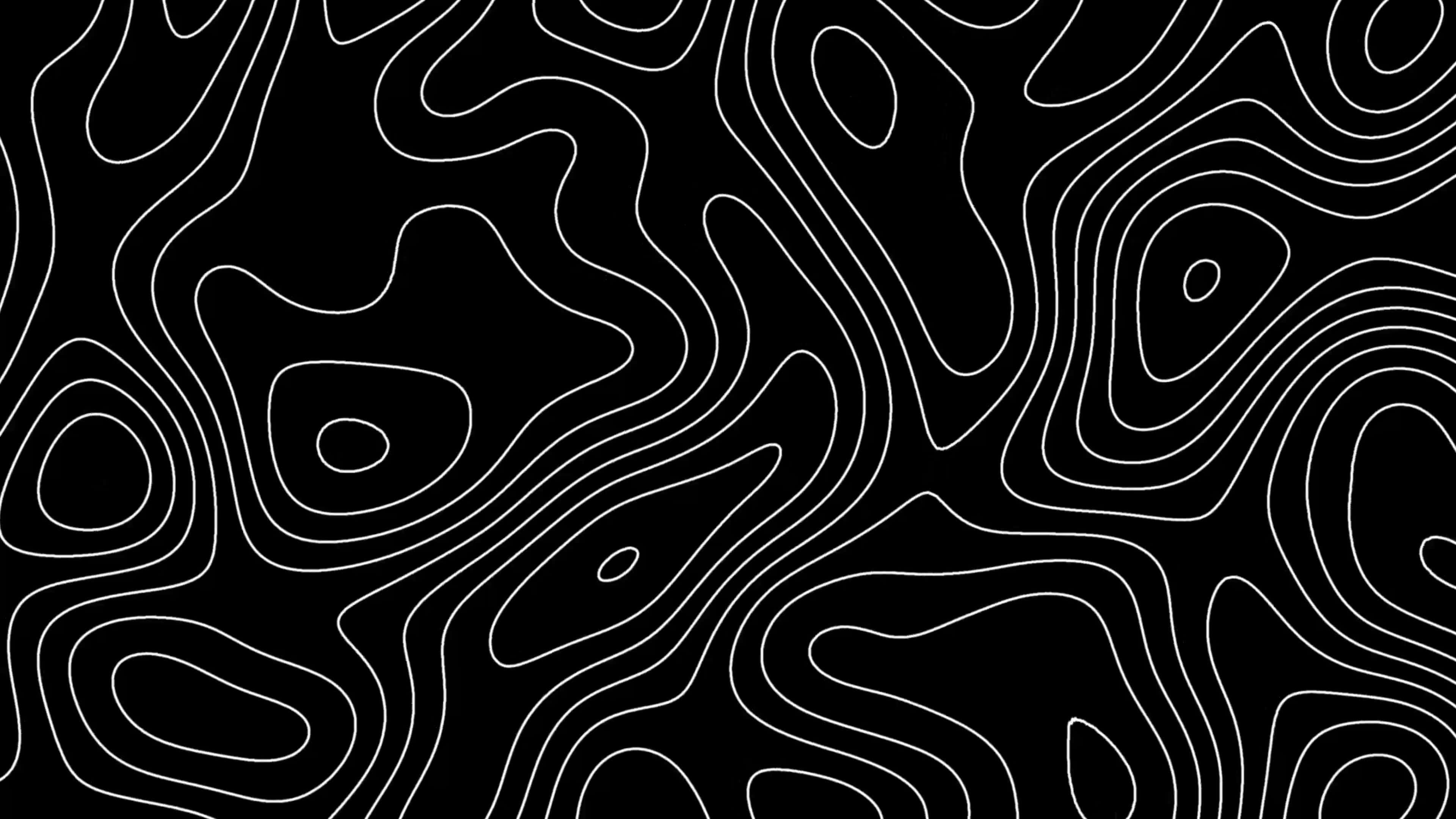 abstract topographic lines, white, solid black background, 4K Desktop Wallpaper