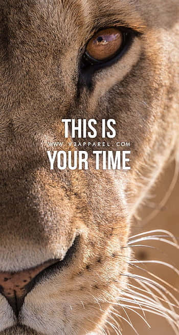 lioness, THIS IS YOUR TIME, warm earthy tones, SD Phone Wallpaper