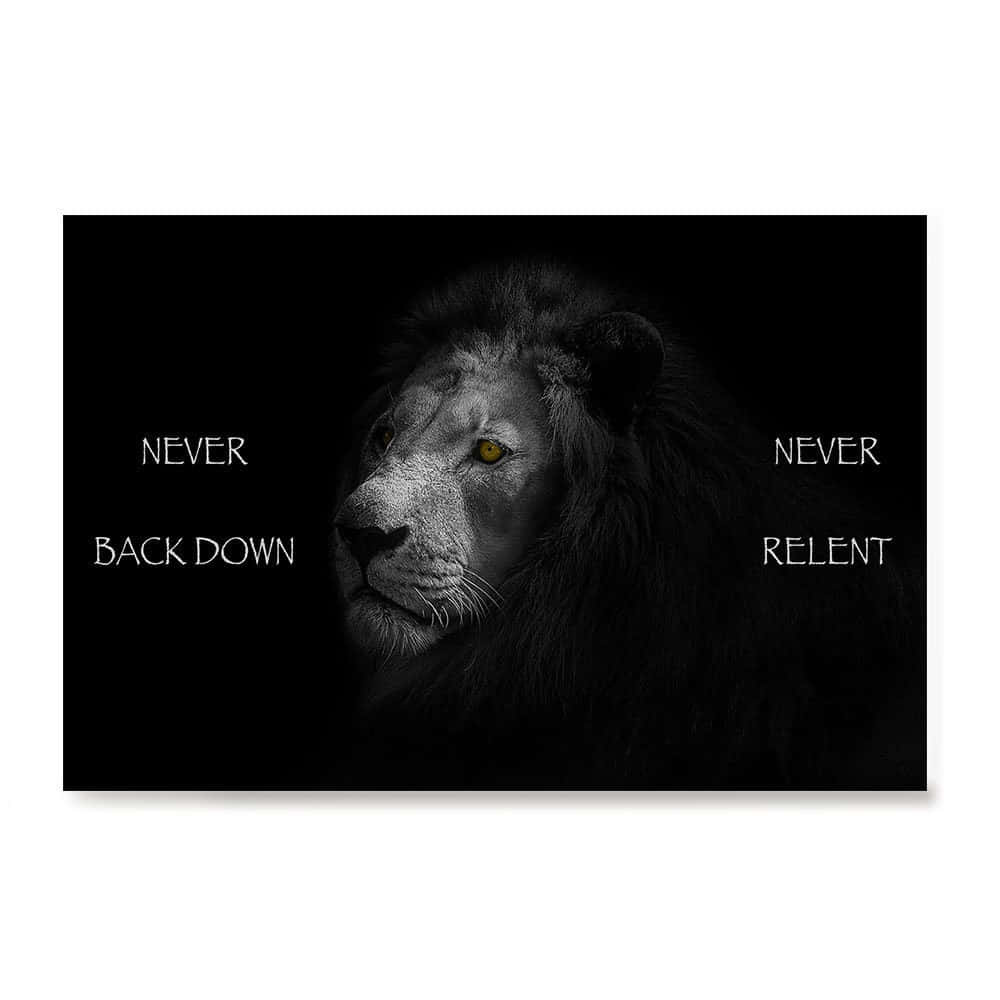 lion, glowing amber eyes, black background, SD Desktop Wallpaper