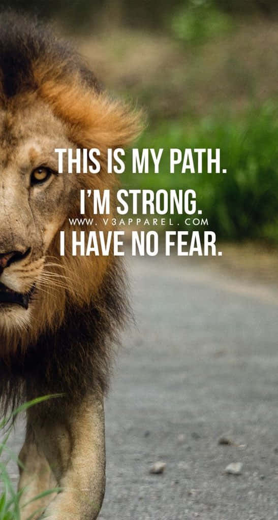 lion quotes 547 x 1024, You are the King of your own destiny, majestic male lion, SD Phone Wallpaper