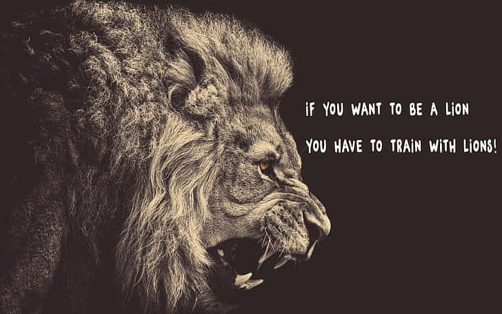 lion, sepia tones, motivational text, SD Desktop Wallpaper