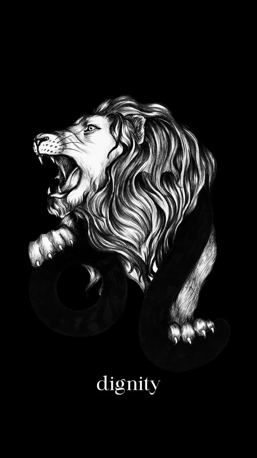majestic lion, fierce dignity, stark black background, HD Phone Wallpaper