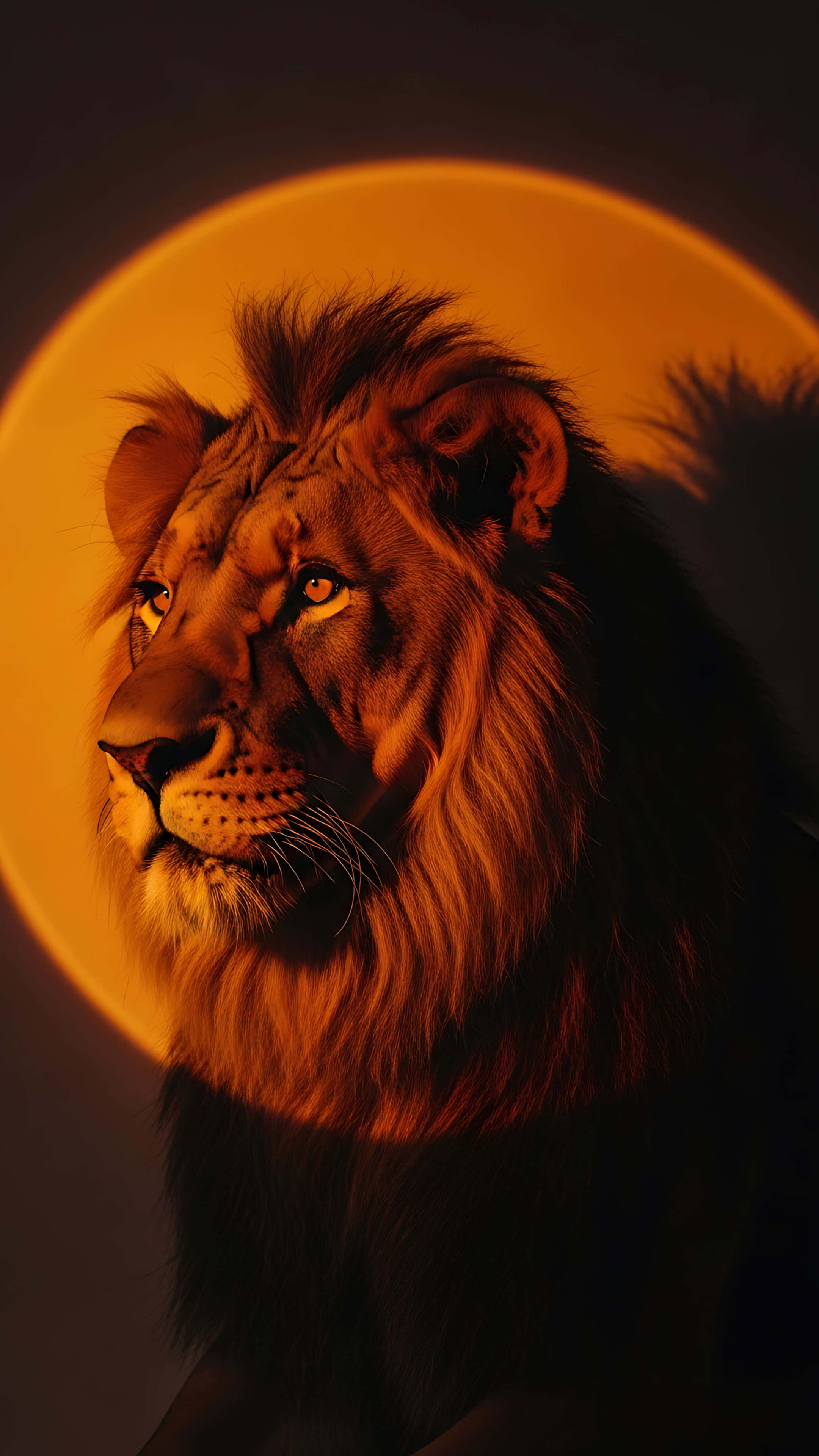 lion, golden eyes, glowing orange circular backdrop, 4K Phone Wallpaper