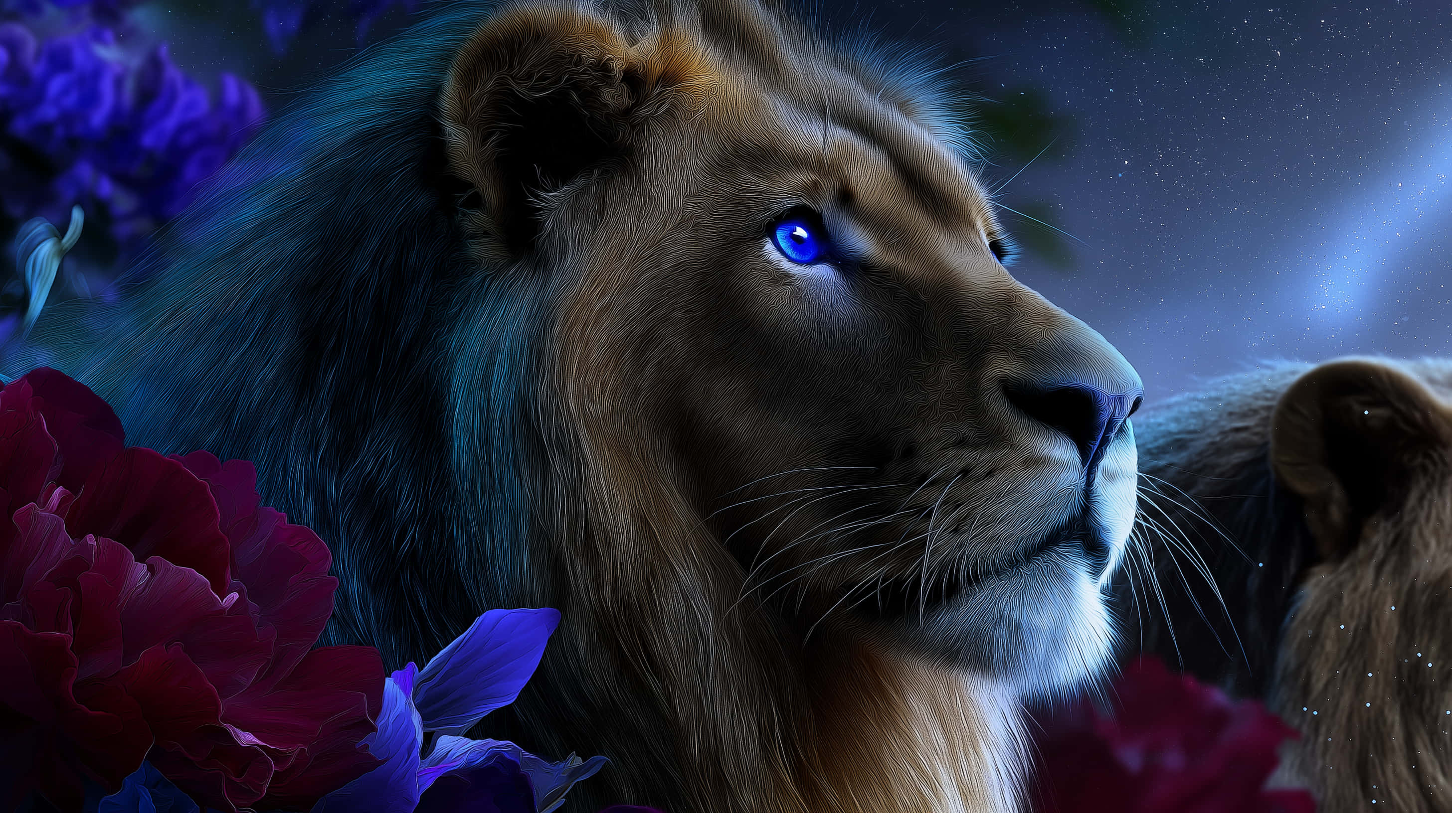 lion, blue eyes, vibrant purple and red flowers, 2K Desktop Wallpaper