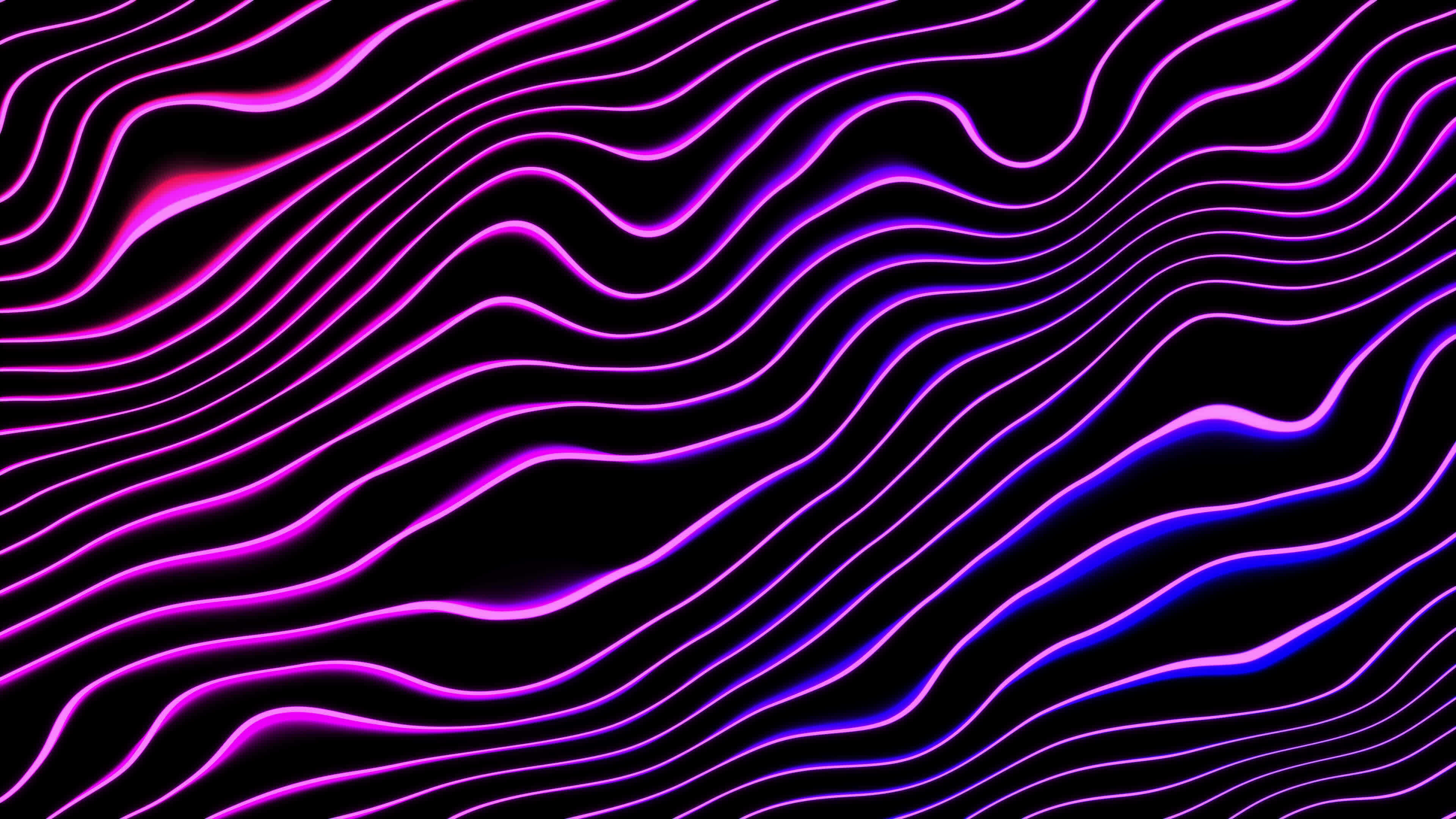 vibrant neon purple, blue wavy lines, deep black background, 4K Desktop Wallpaper