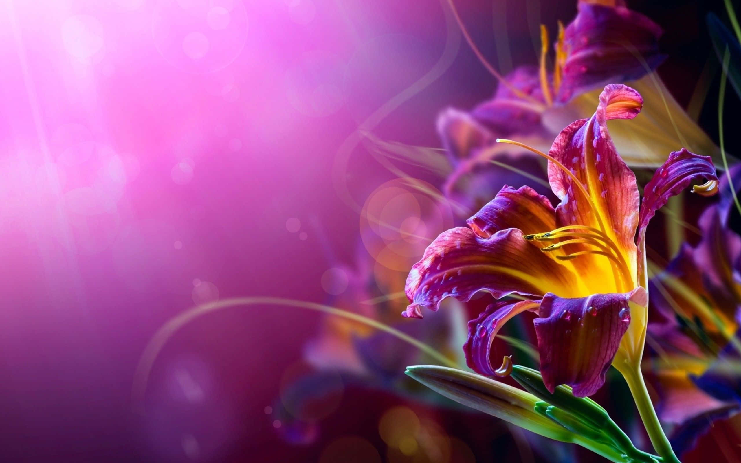 abstract rose, vibrant purple lily, yellow center, 2K Desktop Wallpaper