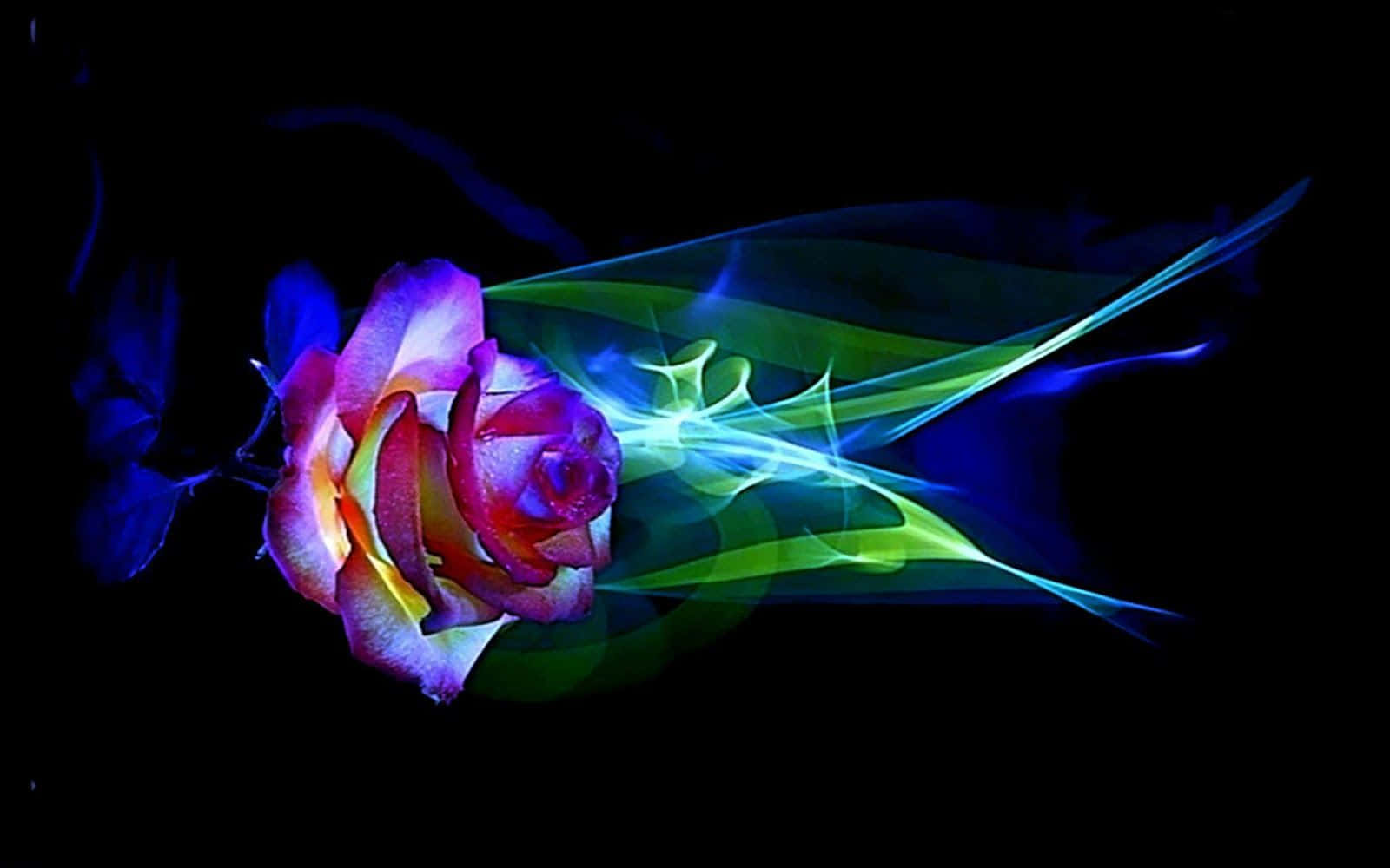 Abstract Rose, neon energy streams, multicolored rose, HD Desktop Wallpaper
