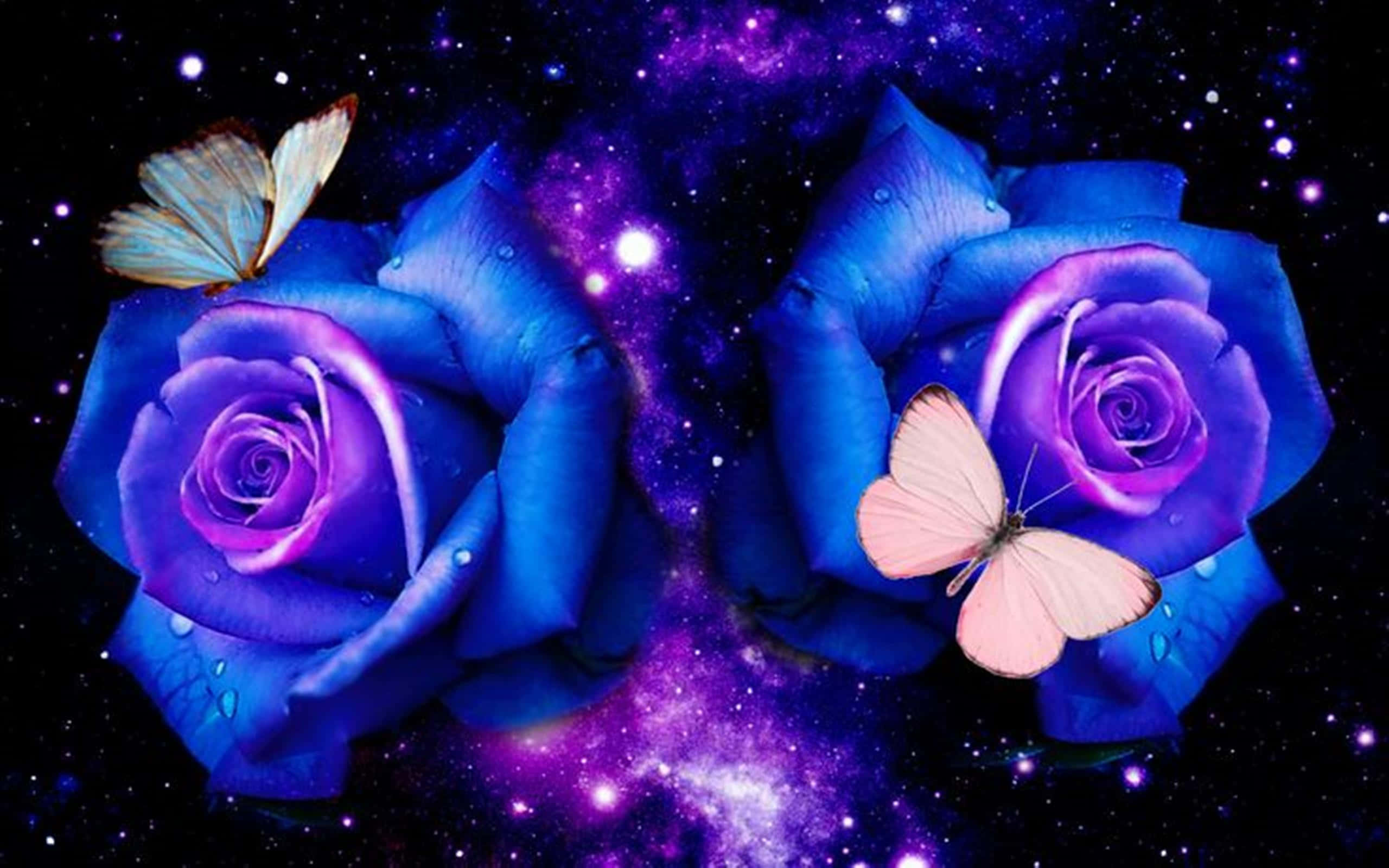 dark blue rose, glowing blue roses, butterflies, 2K Desktop Wallpaper