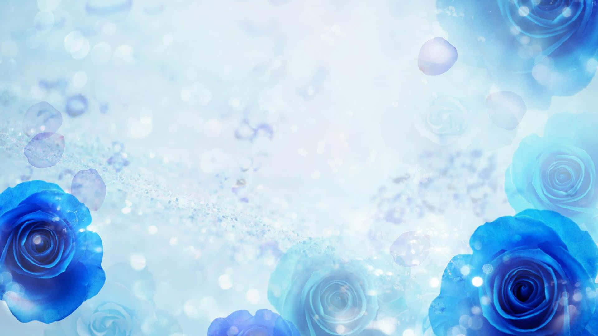 dark blue rose, abstract, vibrant blue roses, Full HD Desktop Wallpaper