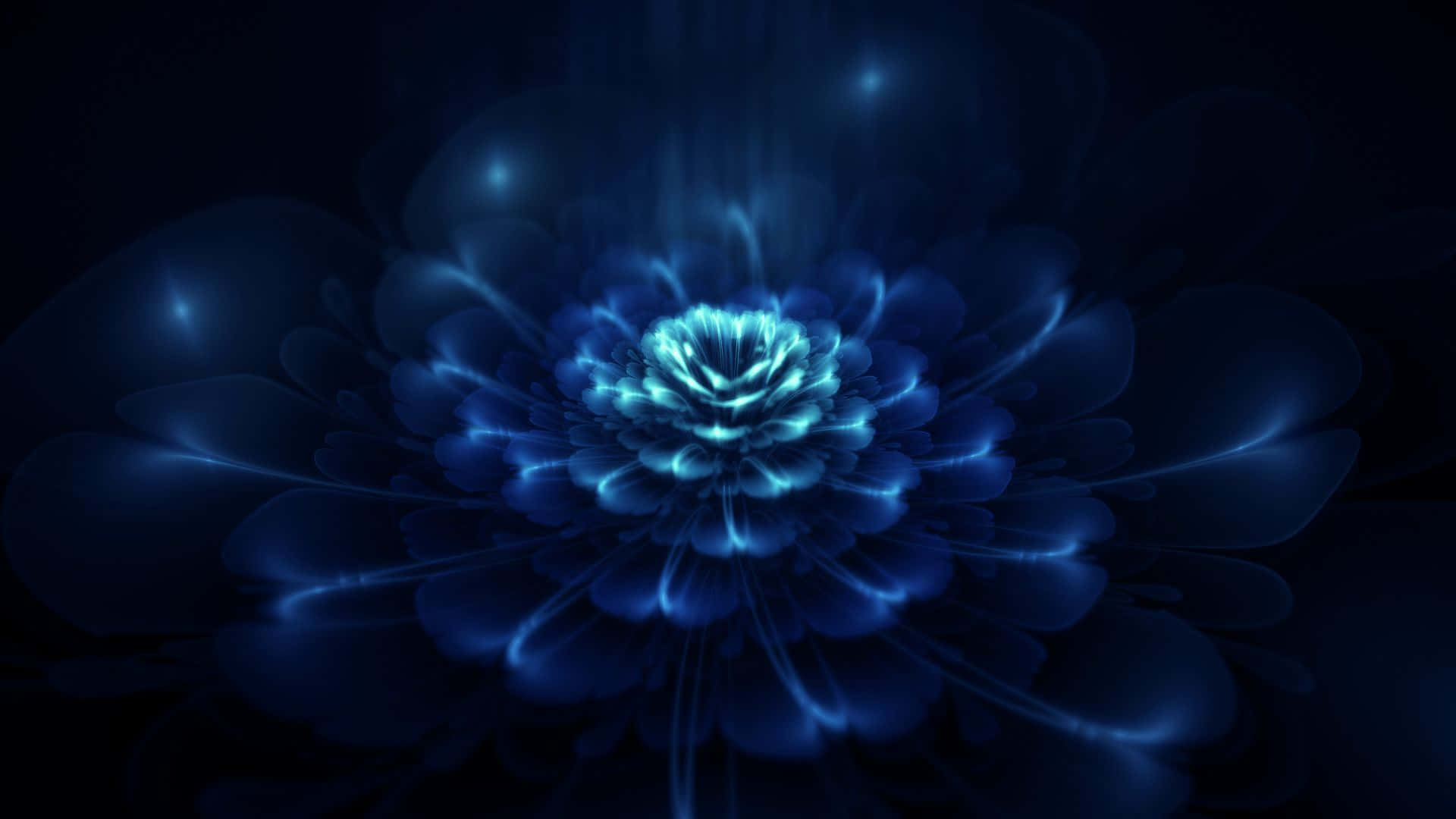 dark blue rose, glowing blue fractal flower, dark background, Full HD Desktop Wallpaper