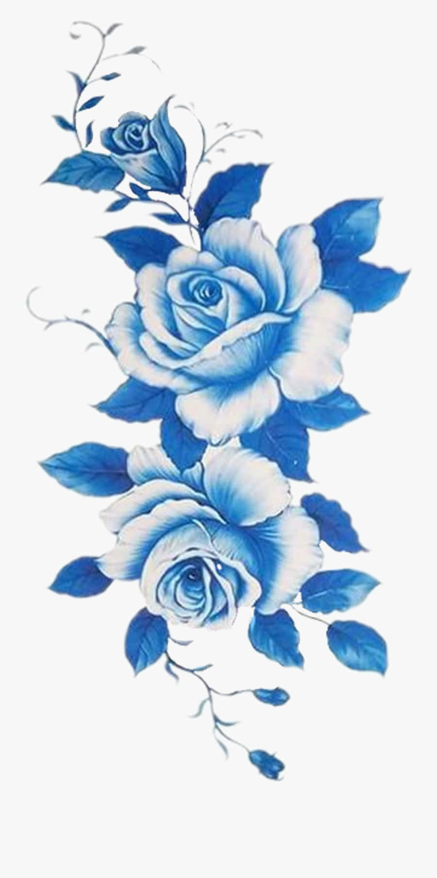 Dark Blue Rose Abstract, blue and white roses, detailed petals, HD Phone Wallpaper