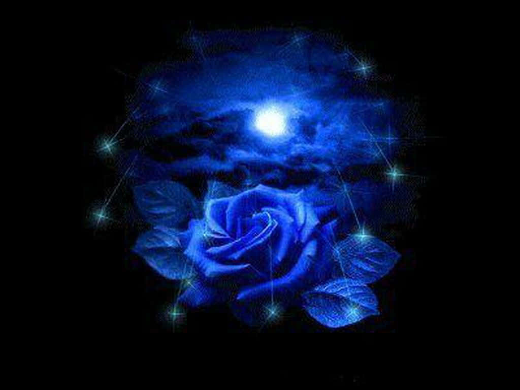 Dark Blue Rose, glowing blue rose, moonlit sky, SD Desktop Wallpaper