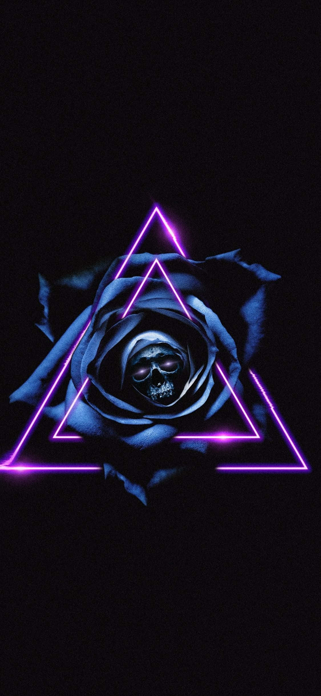 dark blue rose, glowing purple neon triangle, skull, Full HD Phone Wallpaper