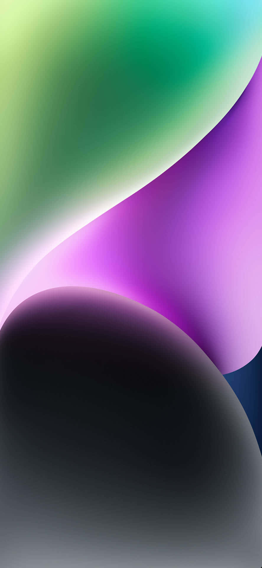 black oval shape, green, purple, Full HD Phone Wallpaper