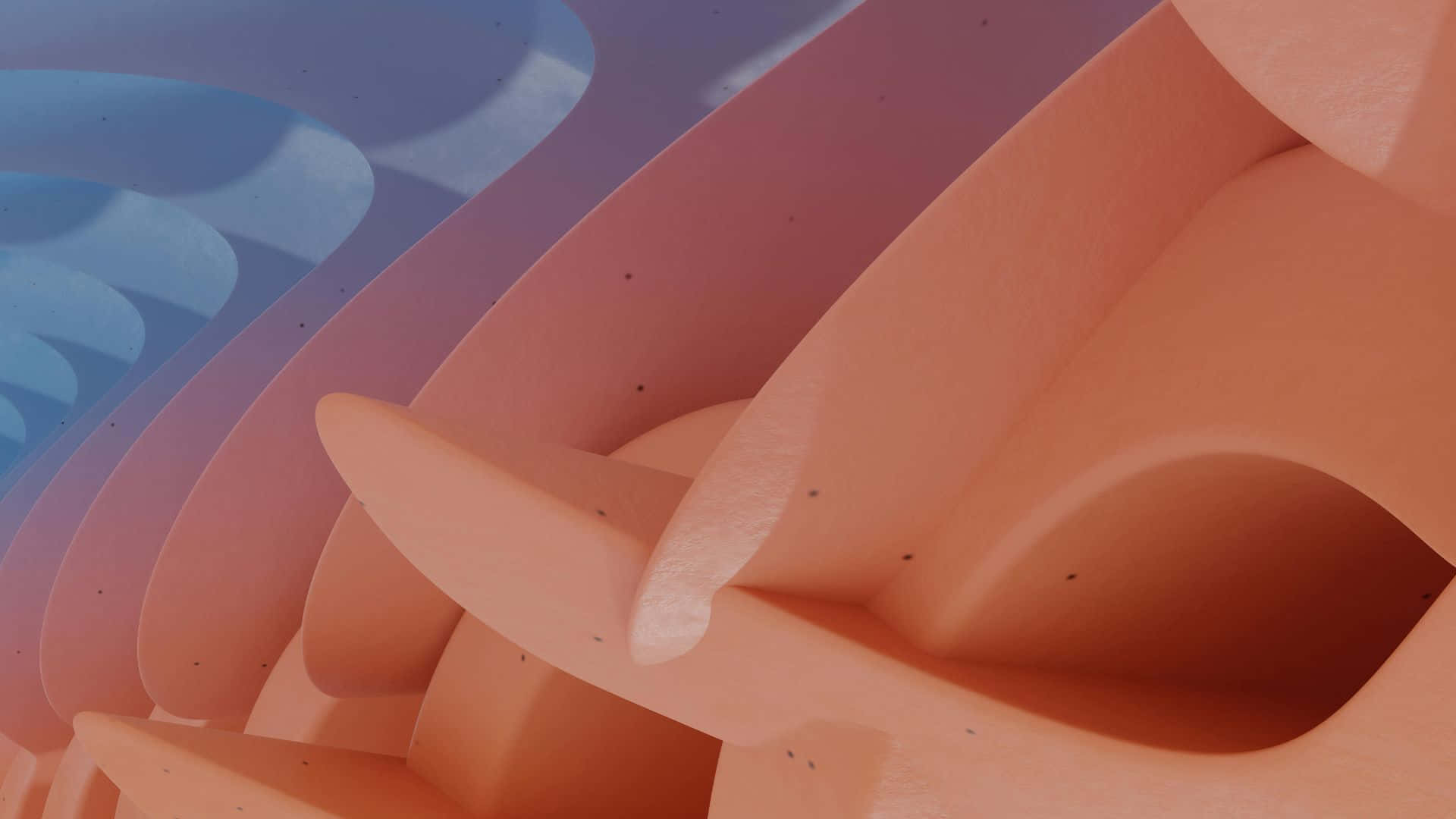 abstract curved shapes, soft peach, blue gradient, Full HD Desktop Wallpaper