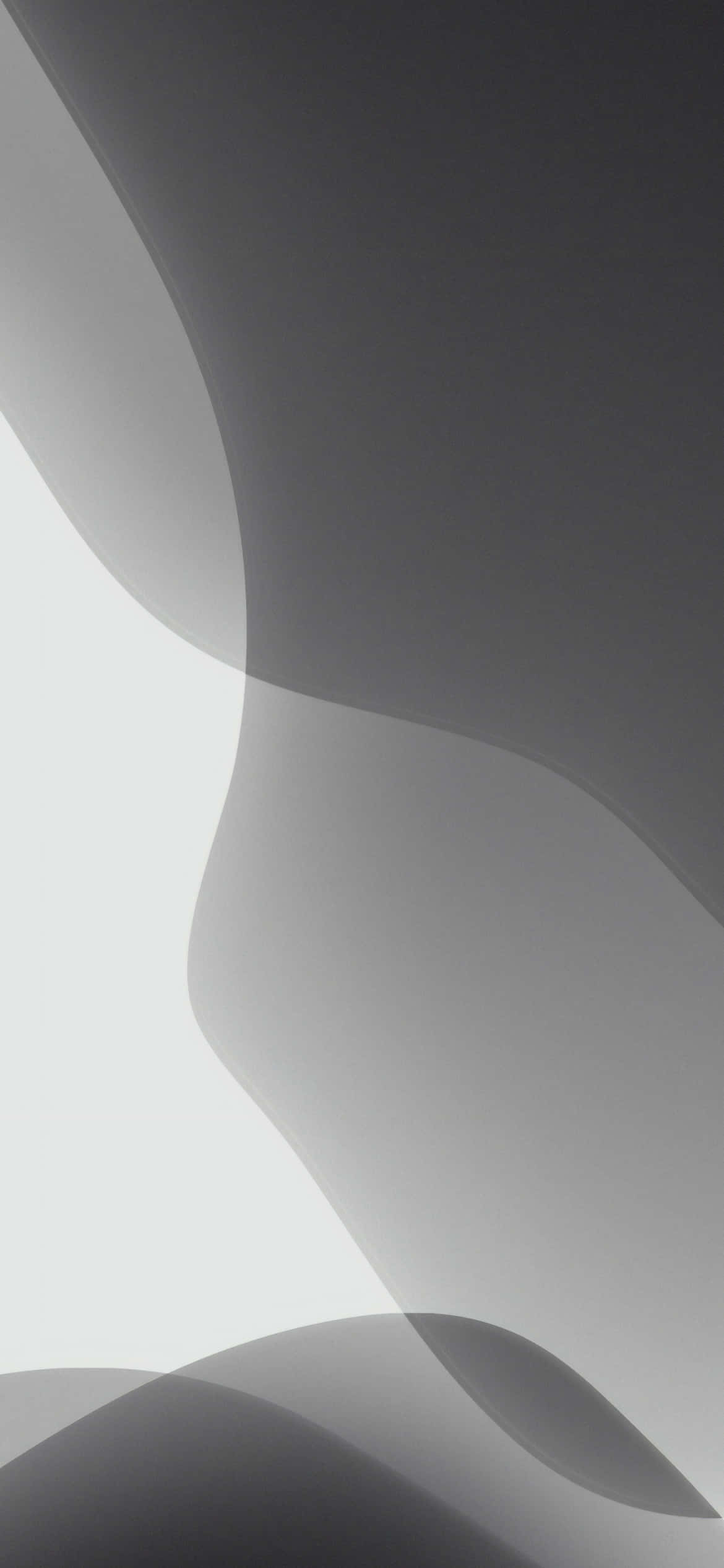 abstract gray waves, smooth flowing abstract shapes, soft grayscale tones, Full HD Phone Wallpaper