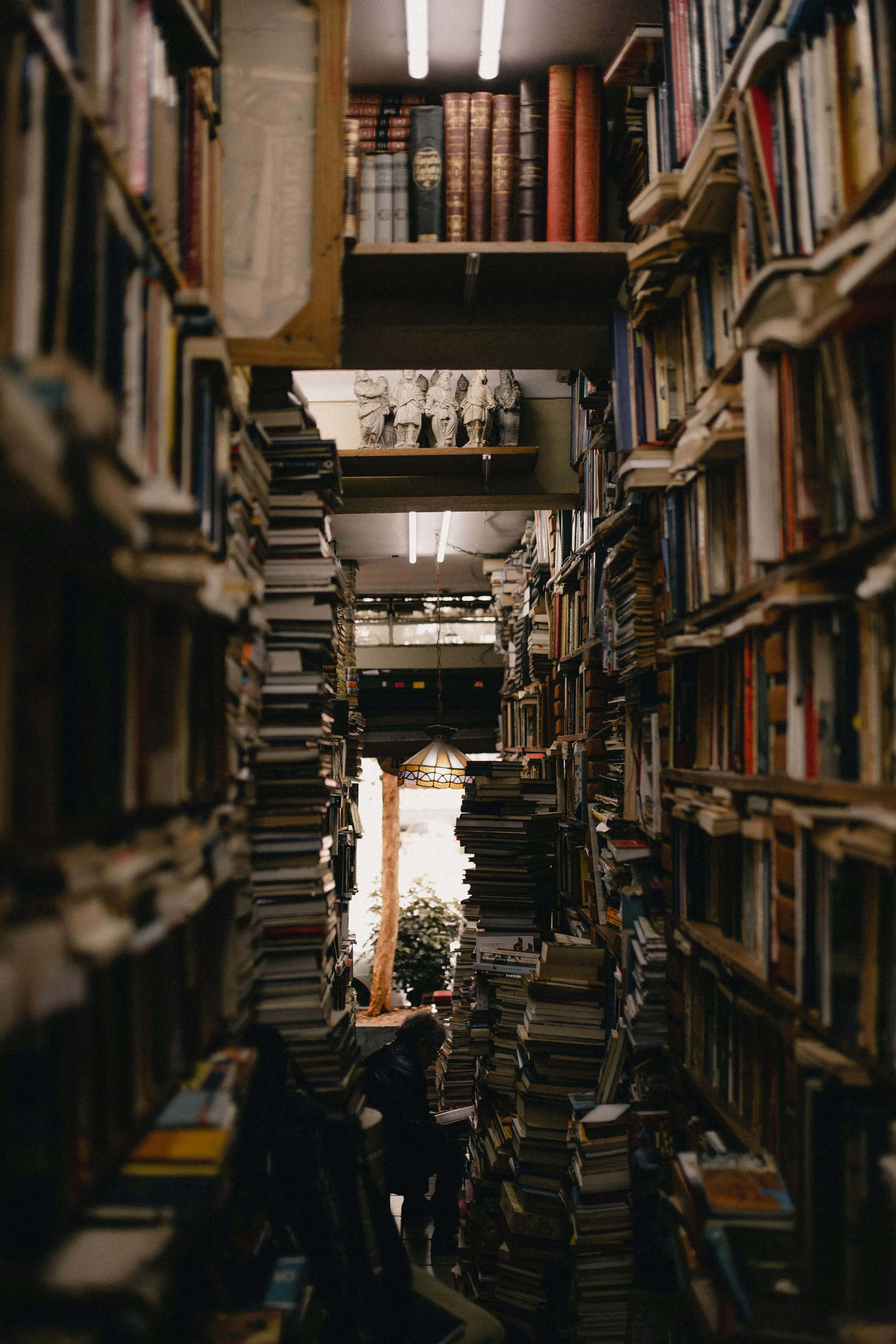 bookstore corridor, towering bookshelves, dimly lit vintage bookstore, 5K Phone Wallpaper