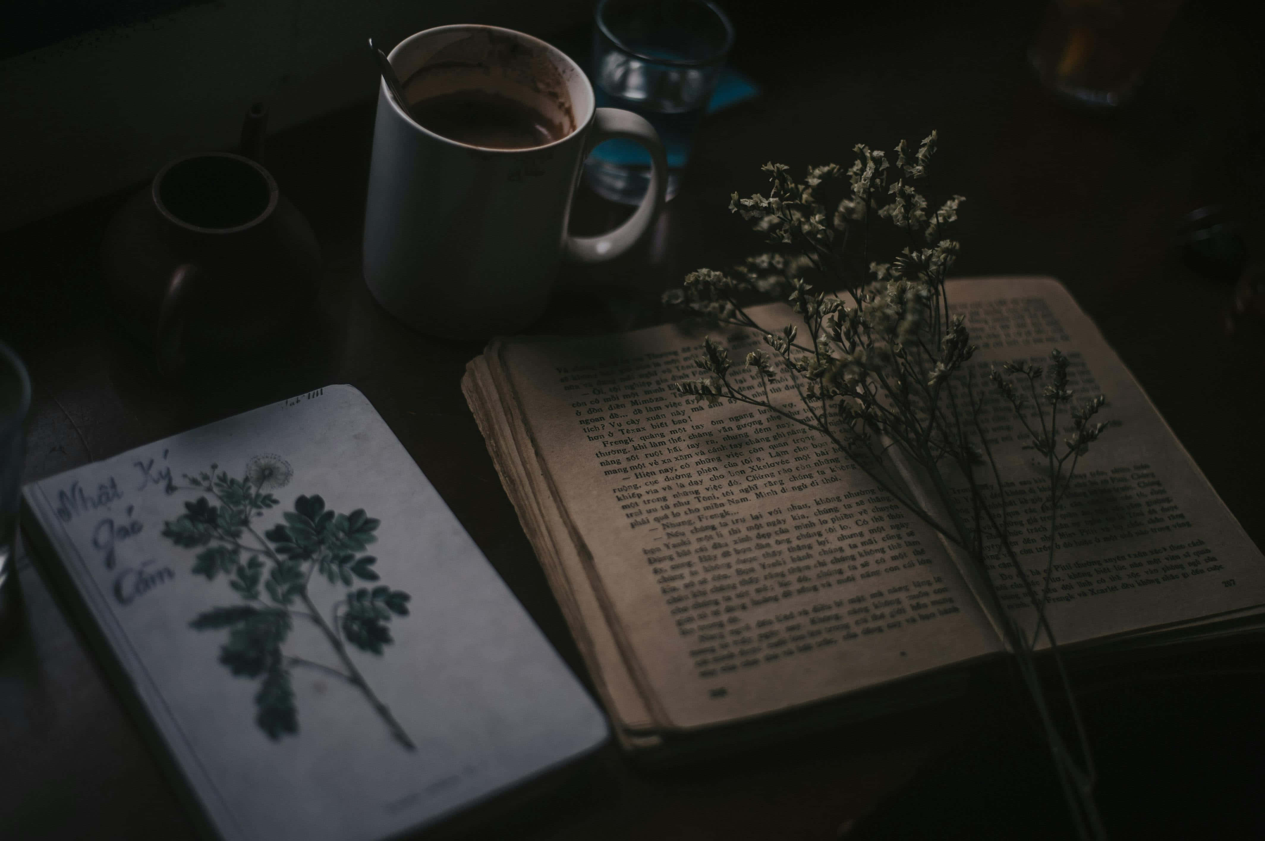 Academia Aesthetic, wooden table, open book, 4K Desktop Wallpaper