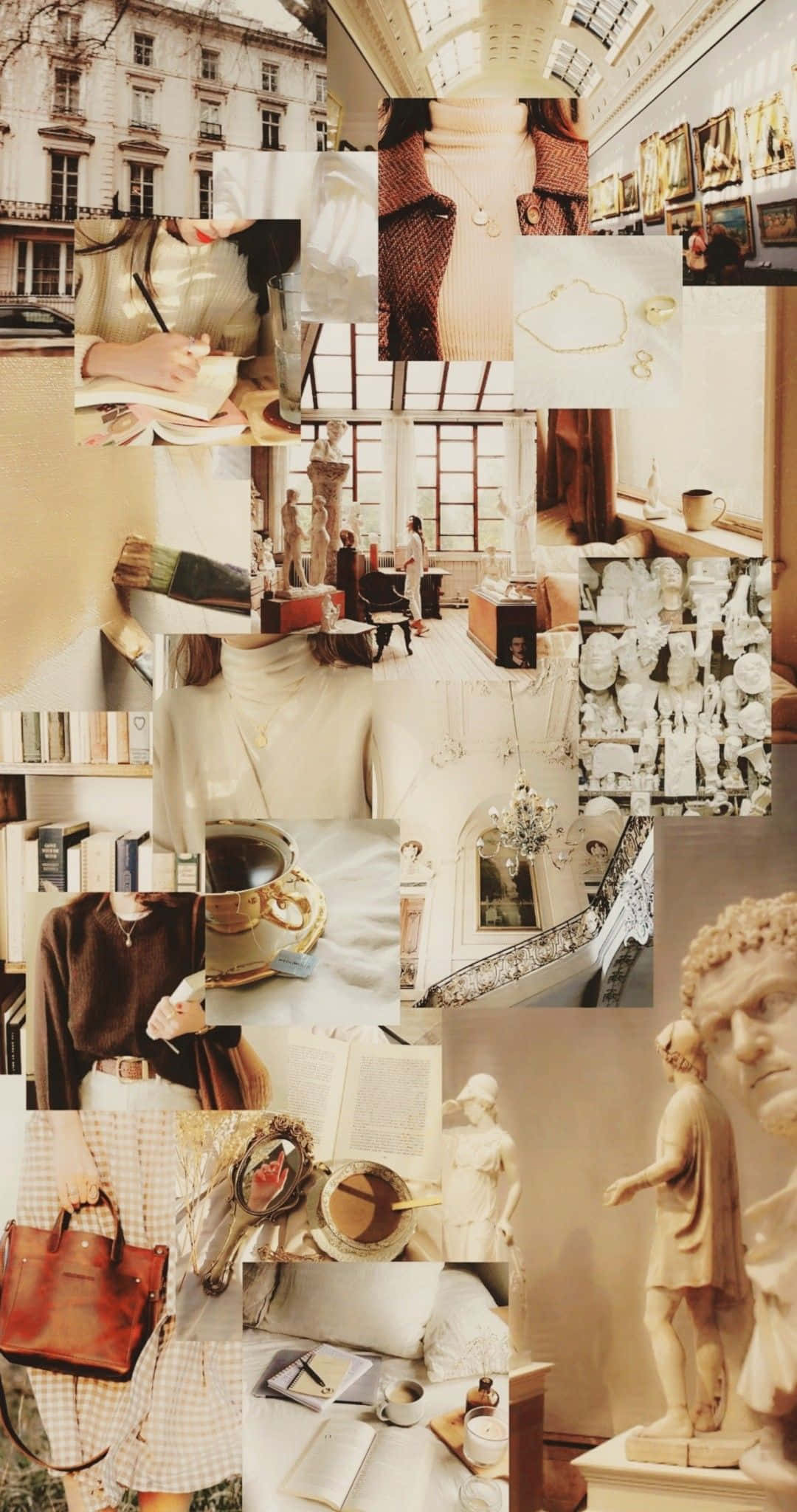 Academia Aesthetic, vintage bookshelves, statues, Full HD Phone Wallpaper