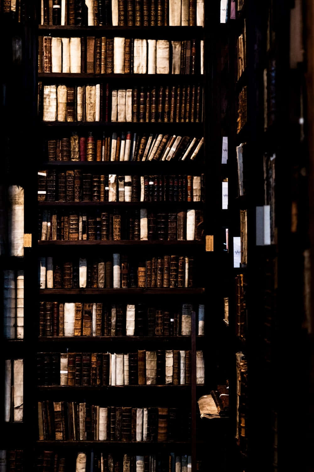ancient tomes, shadowy library shelves, dark wooden bookshelves, HD Phone Wallpaper