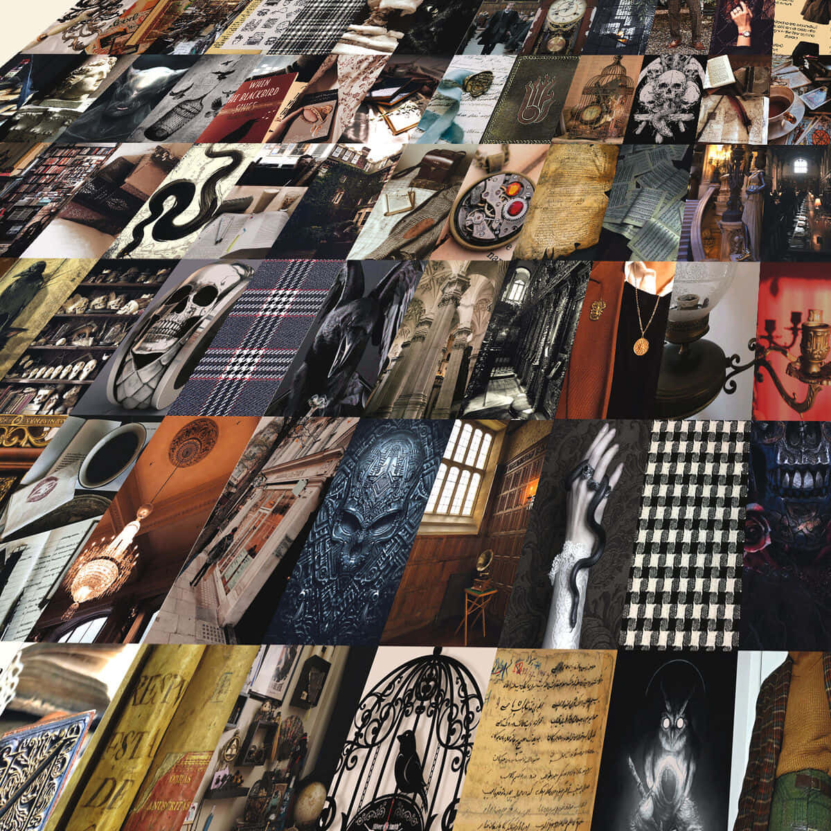 Academia Aesthetic, gothic collage mosaic, skulls, SD Desktop Wallpaper