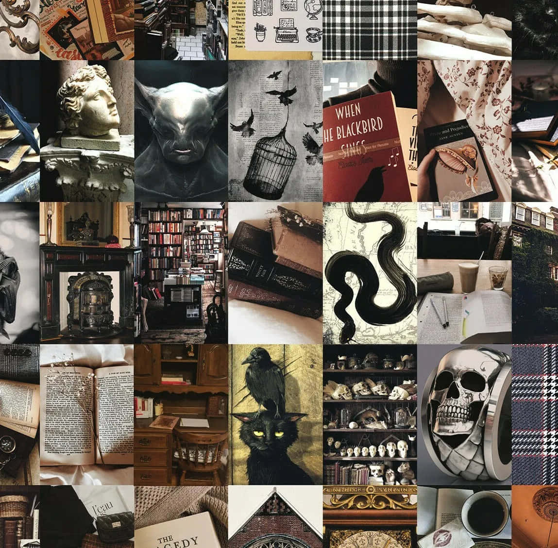 Academia Aesthetic, vintage bookshelves, skulls, SD Desktop Wallpaper
