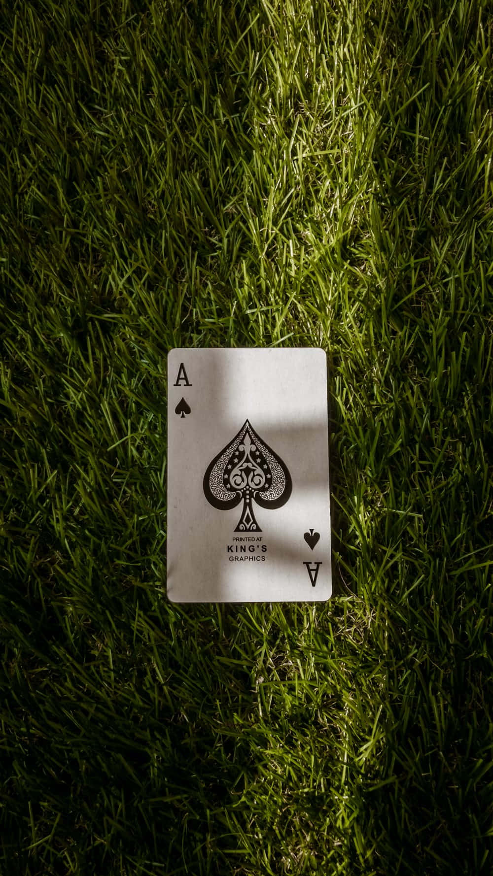 Ace of Spades, white, playing card, HD Phone Wallpaper