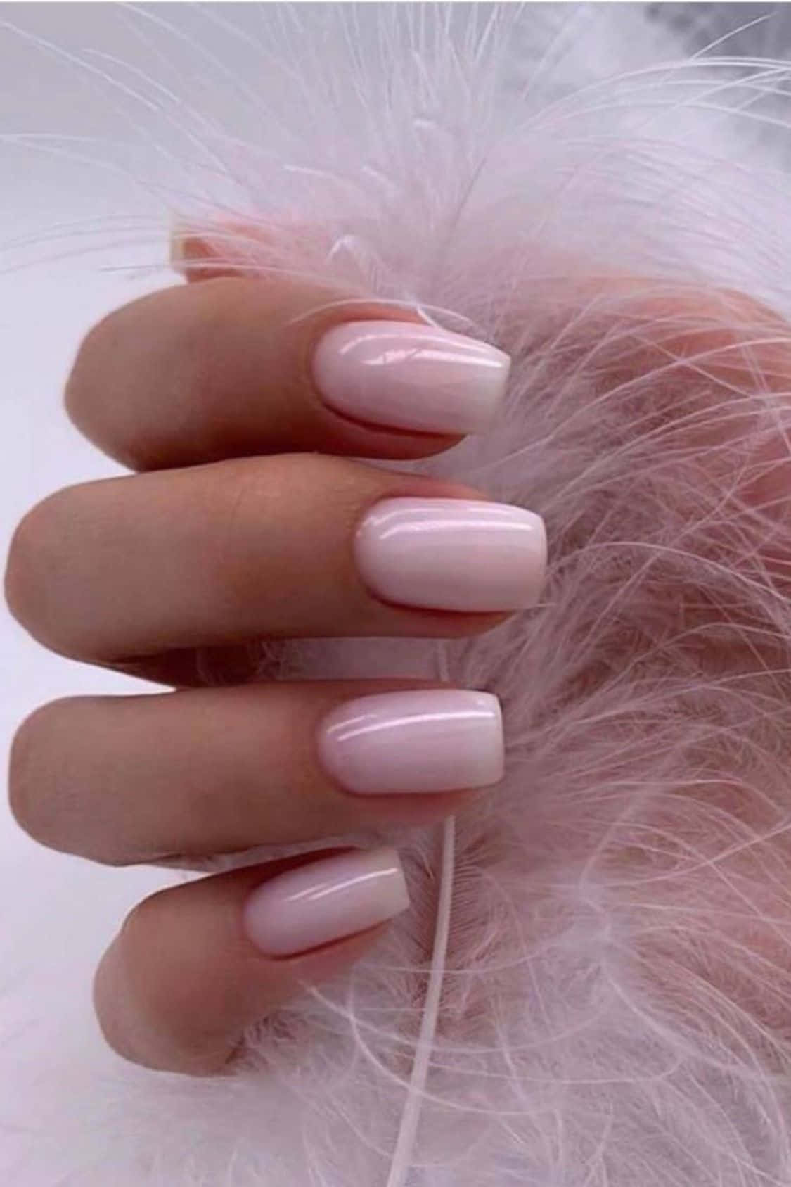 soft pink nails, fluffy white feathers, pale background, HD Phone Wallpaper
