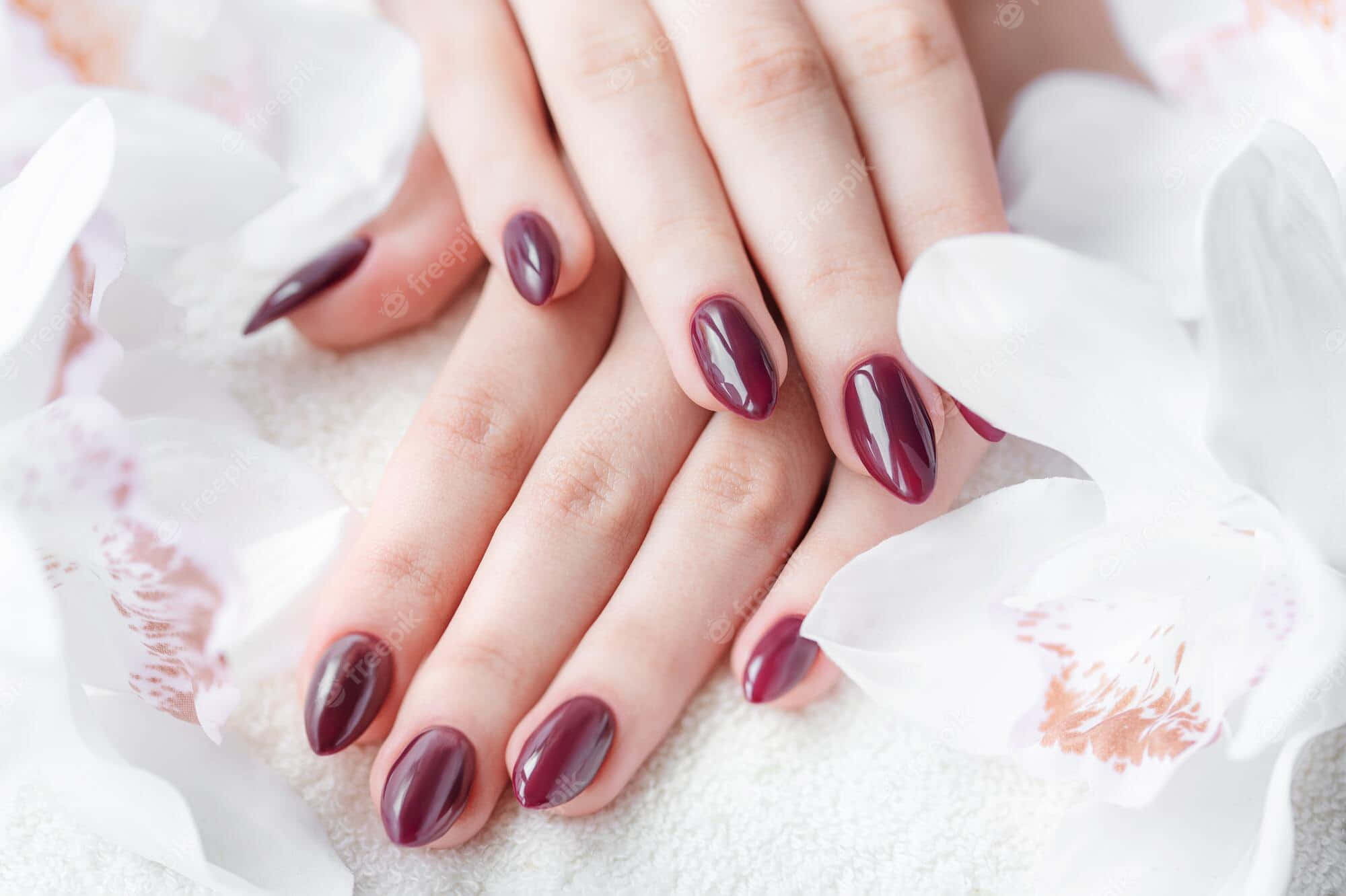 purple nails, glossy burgundy nails, white orchids, Full HD Desktop Wallpaper