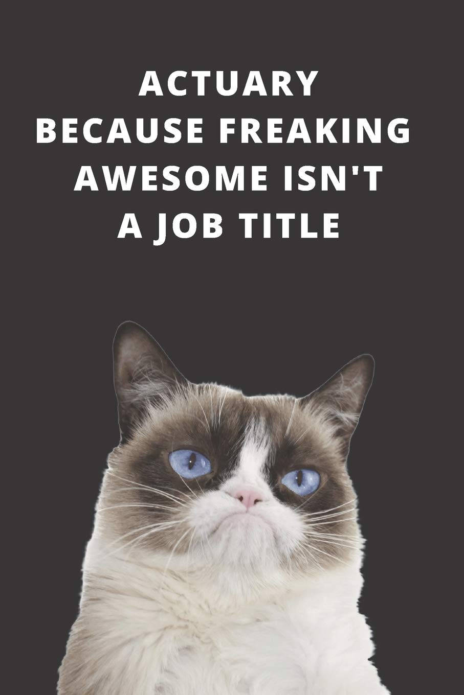 Actuary, grumpy cat, blue eyes, HD Phone Wallpaper