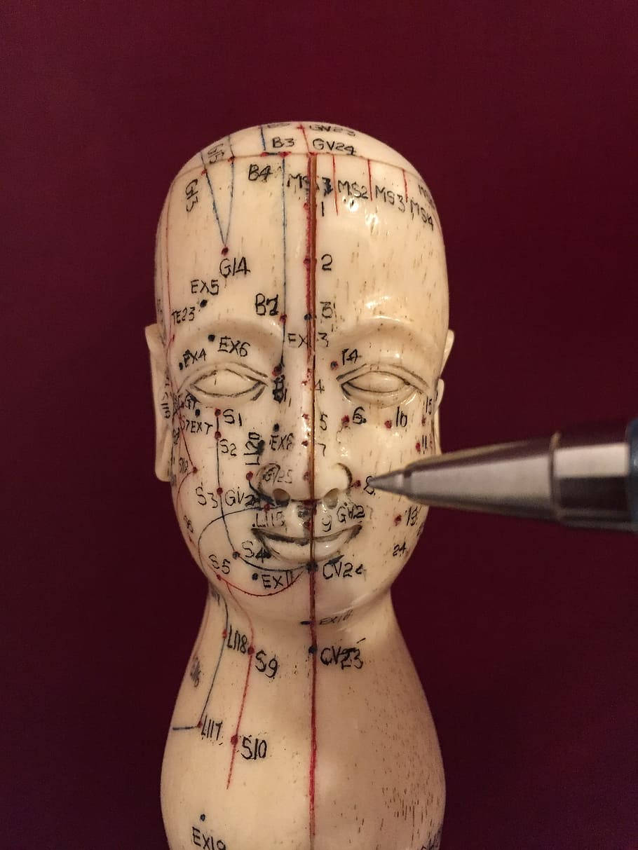 acupuncturist, meridian points mannequin, labeled points, SD Phone Wallpaper