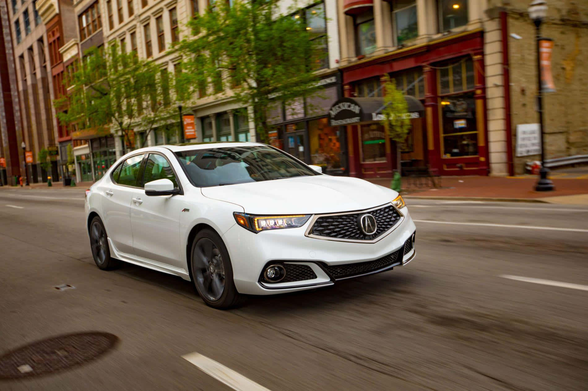 Acura TLX, white, tree-lined urban street, HD Desktop Wallpaper