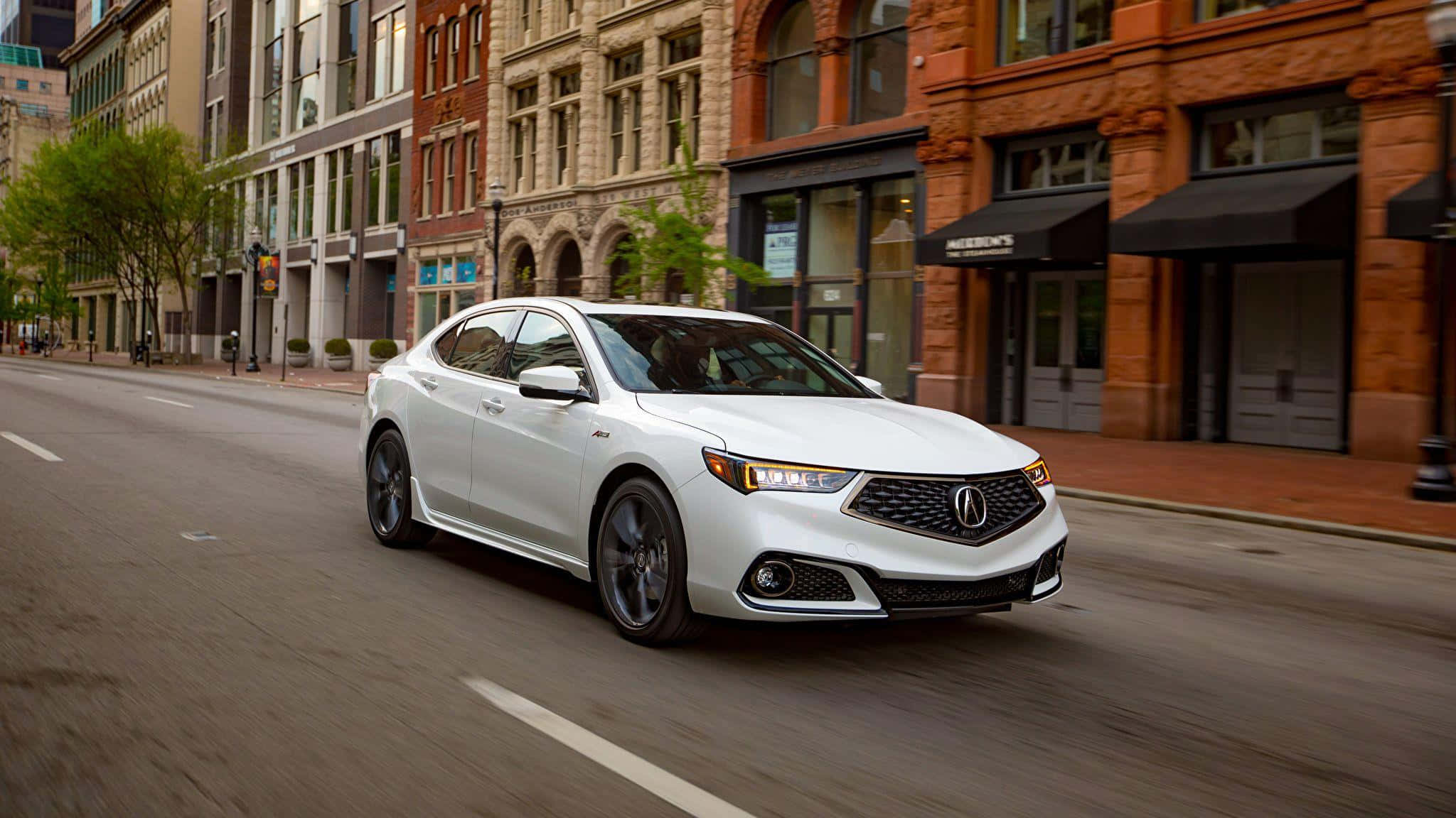 Acura TLX, white, tree-lined urban street, Full HD Desktop Wallpaper