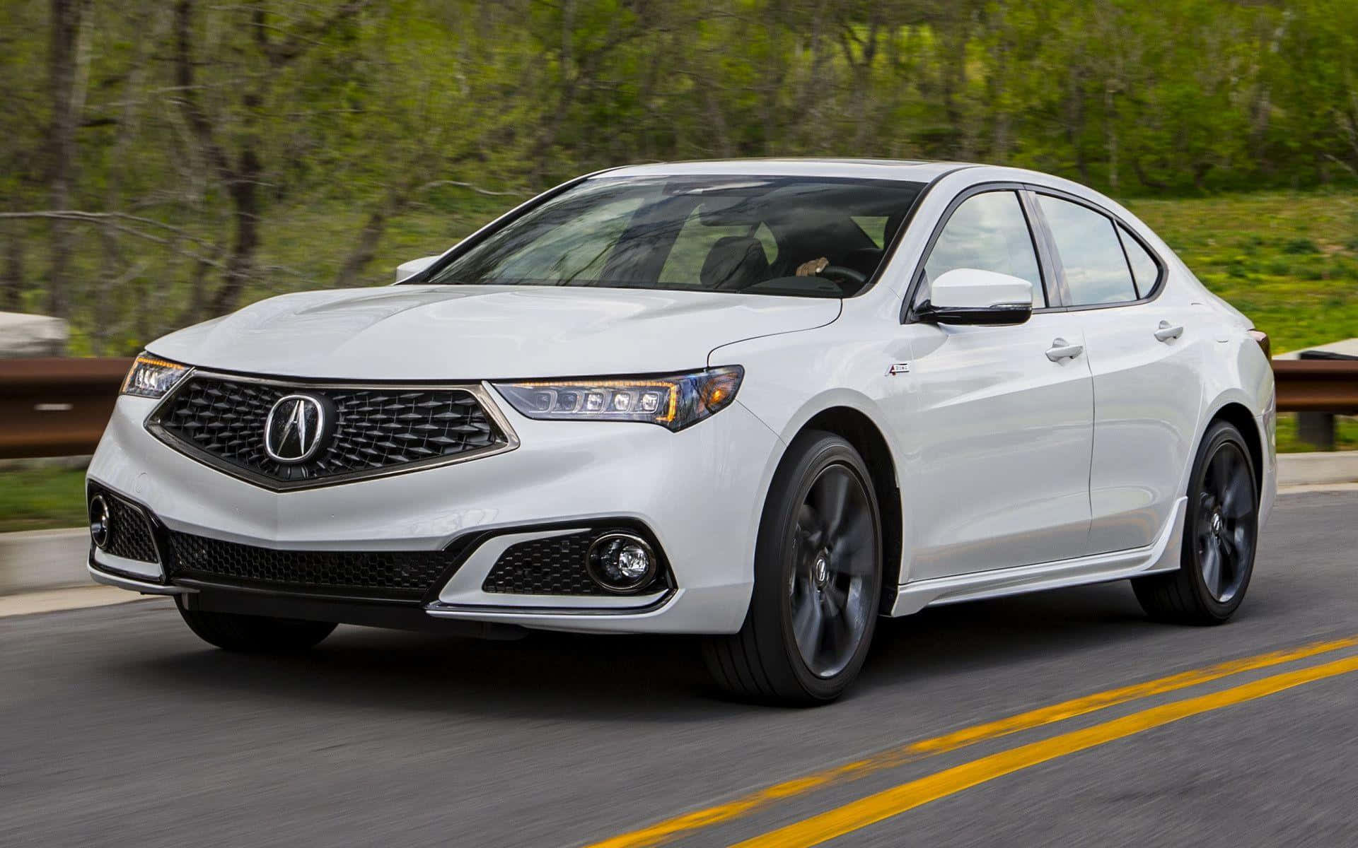 Acura TLX, white, tree-lined road, Full HD Desktop Wallpaper