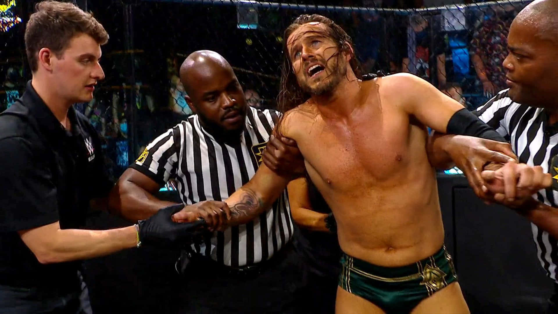 Adam Cole, referees, cage, Full HD Desktop Wallpaper