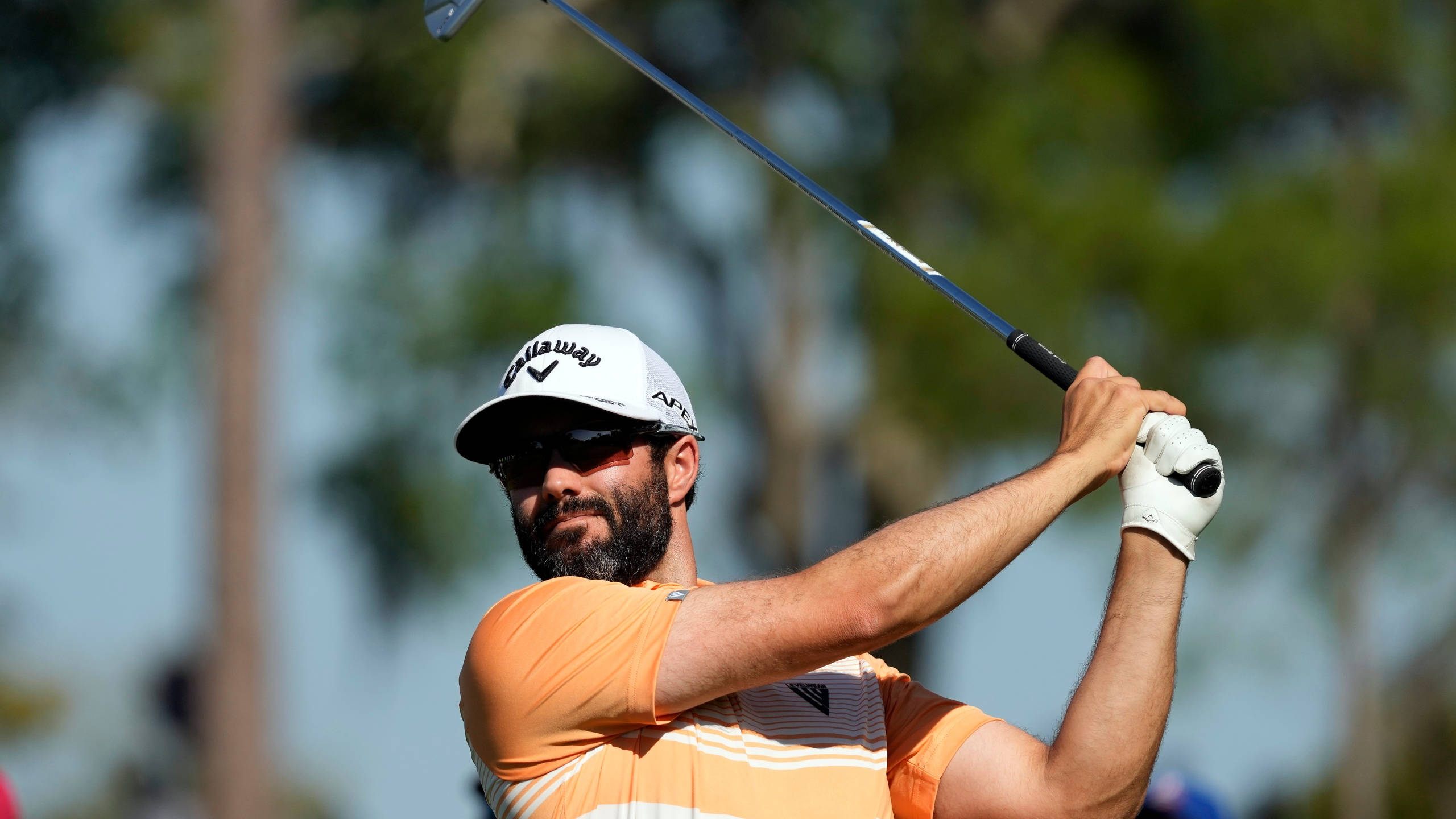 Adam Hadwin, orange shirt, white cap, 2K Desktop Wallpaper