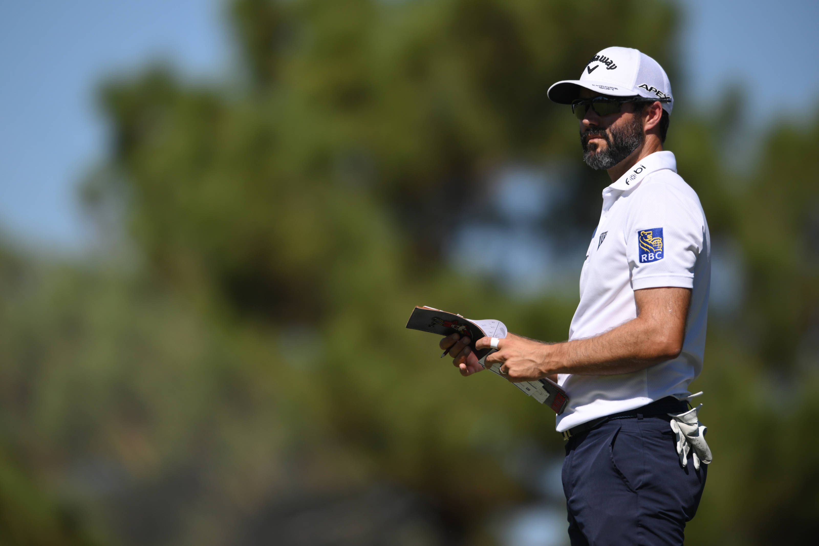 Adam Hadwin, white polo, cap, 2K Desktop Wallpaper