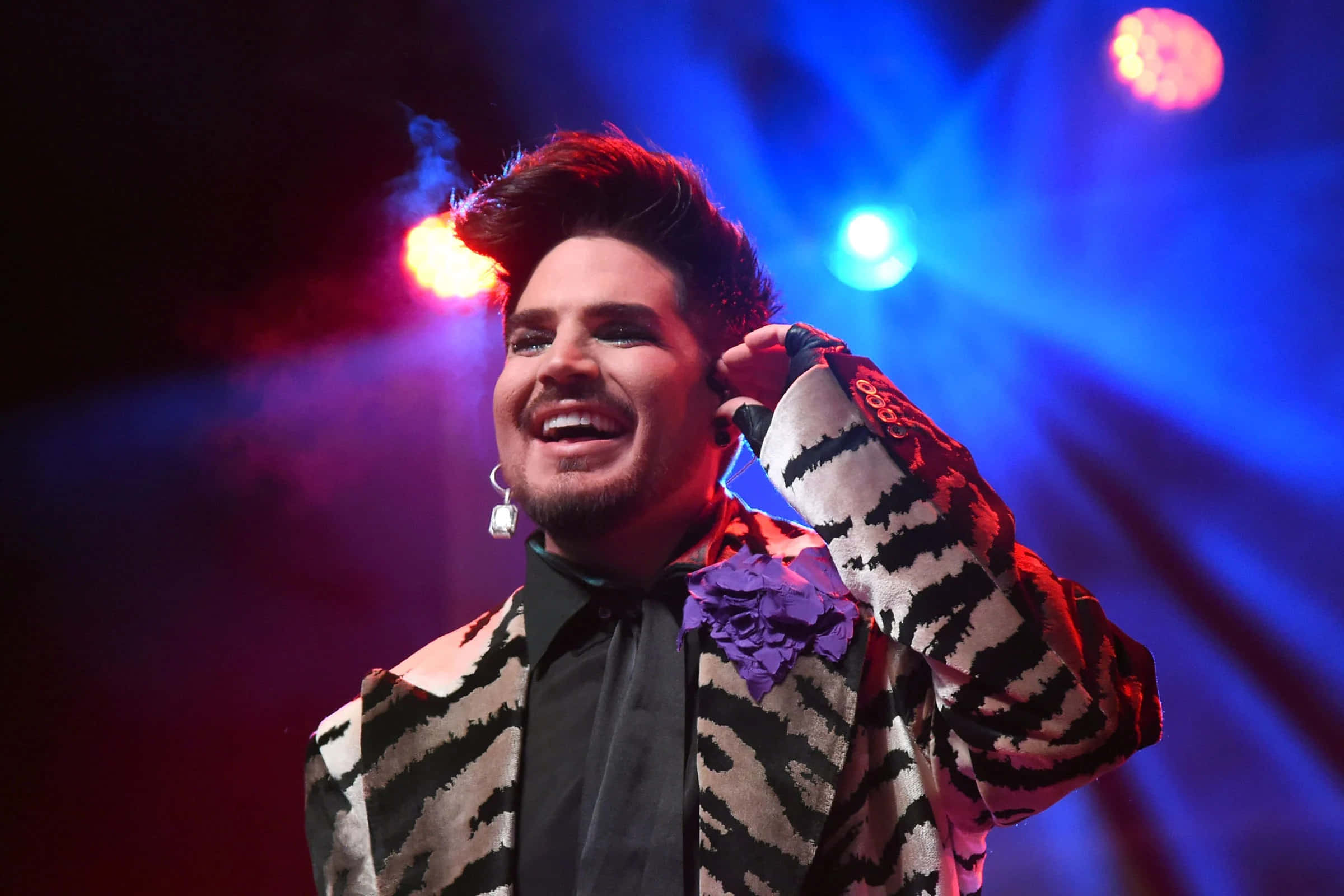 adam lambert, zebra-print jacket, purple flower lapel, Full HD Desktop Wallpaper
