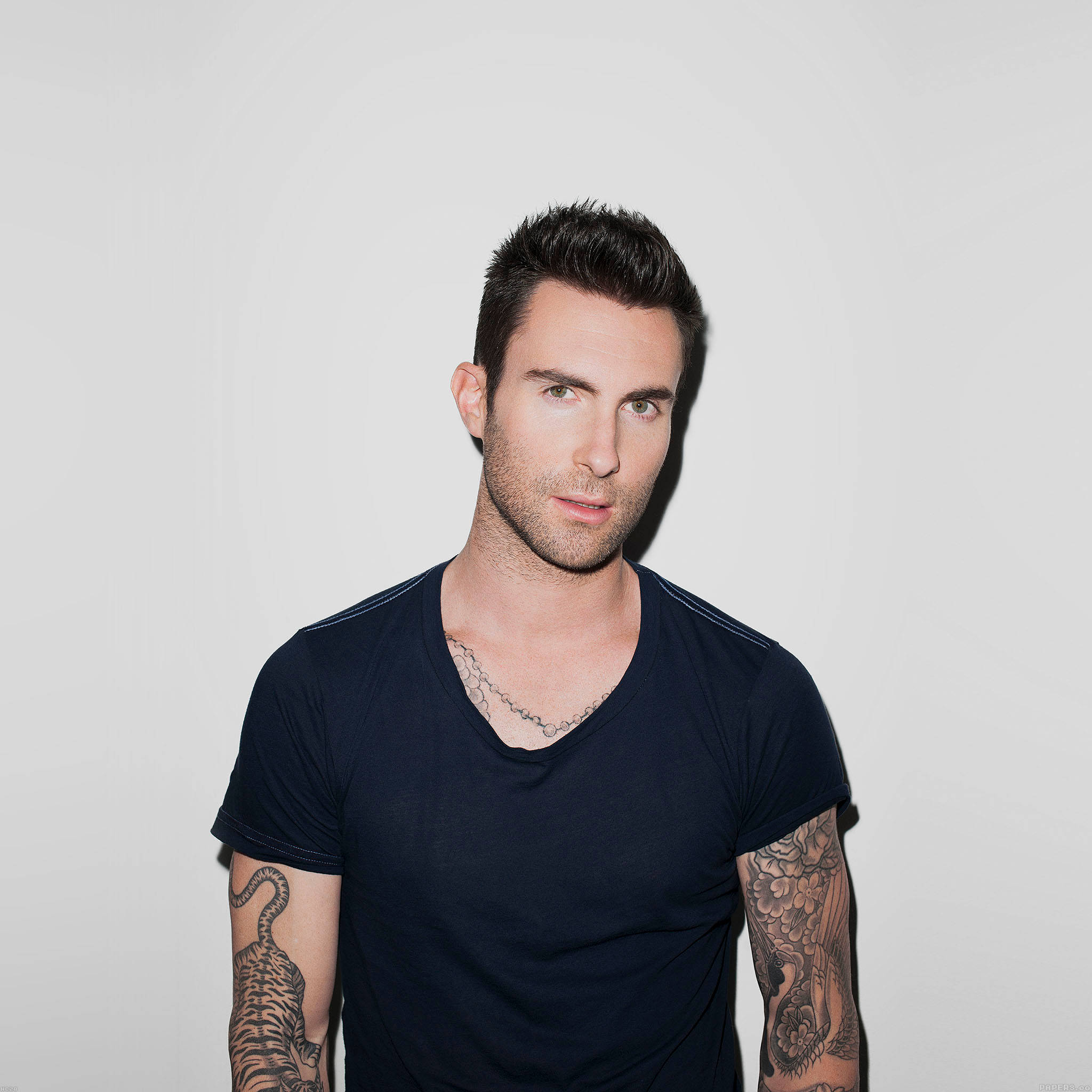 Adam Levine, tattoos, white background, Full HD Desktop Wallpaper