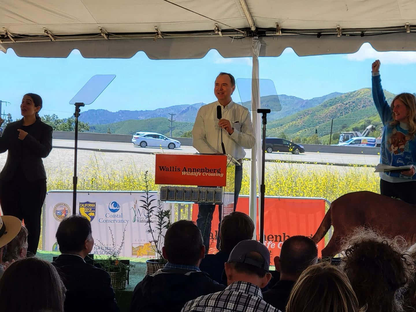 Adam Schiff, podium, tent, HD Desktop Wallpaper