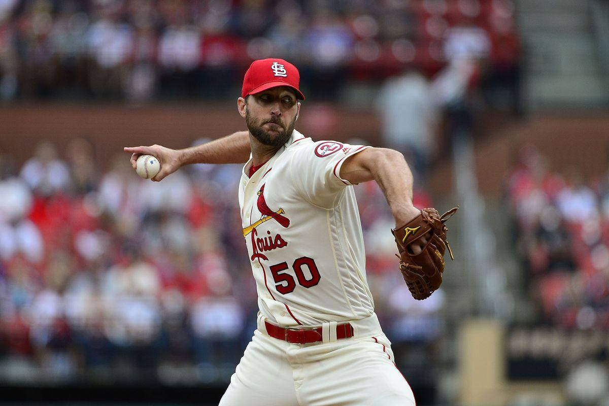 Adam Wainwright, red cap, white and red uniform, SD Desktop Wallpaper