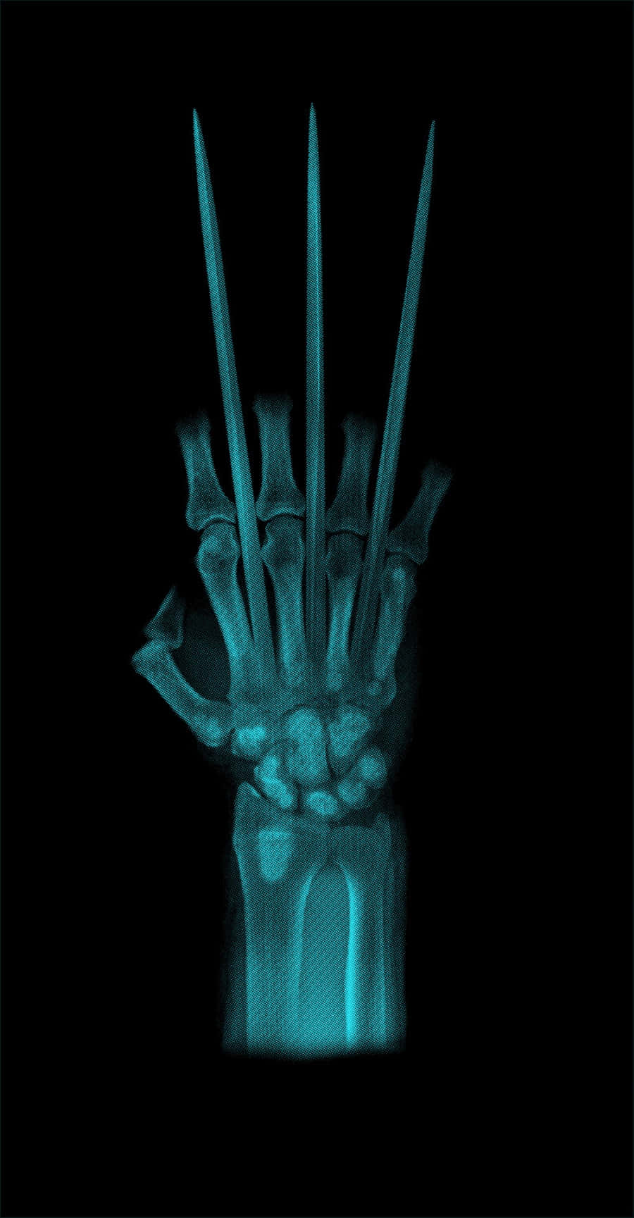 Adamantium 900, X-ray view, three elongated bone claws, HD Phone Wallpaper