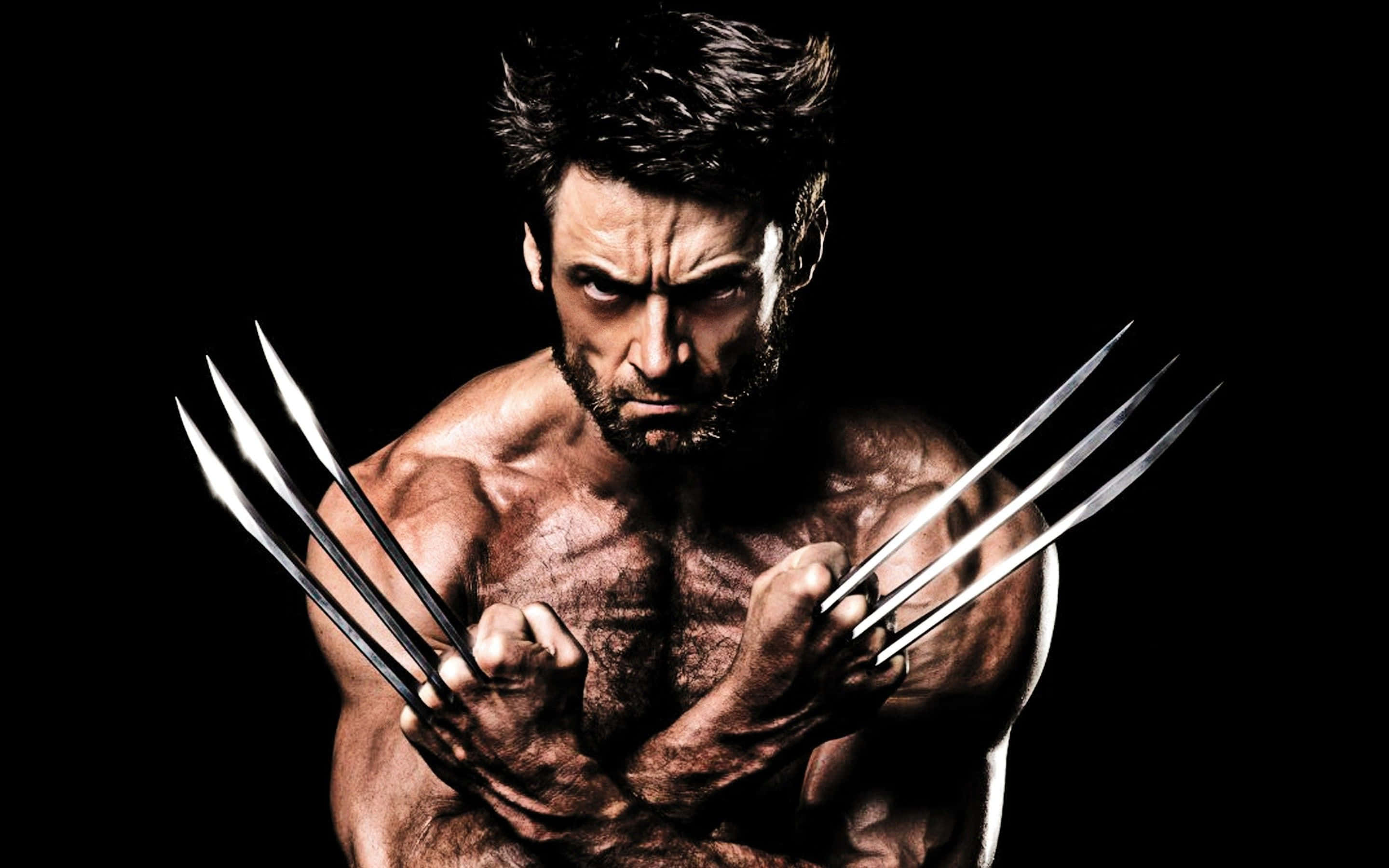 Adamantium, 2880 x 1800, claws, 2K Desktop Wallpaper